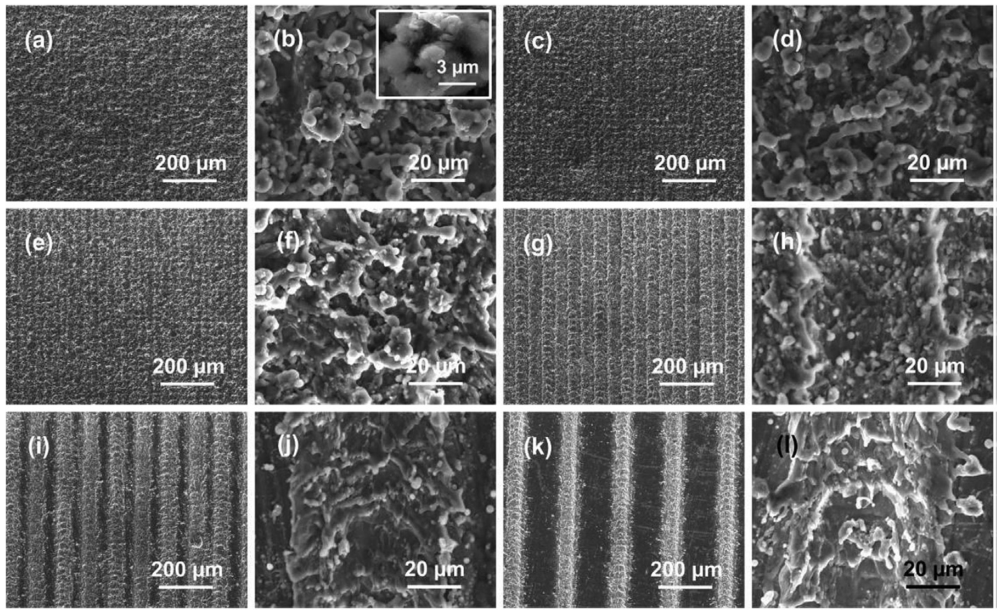 Biomimetics 07 00196 g019