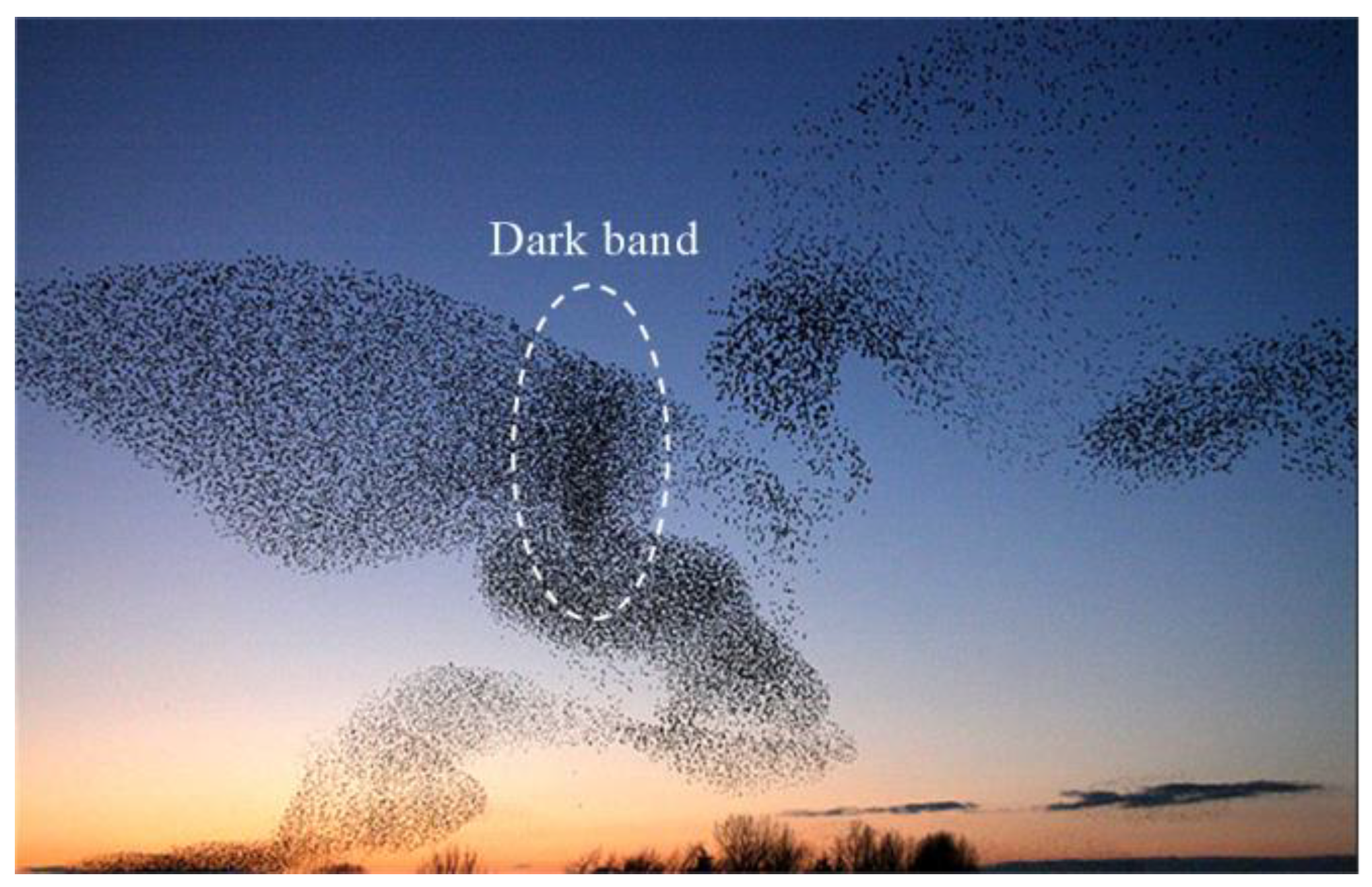 Biomimetics 07 00214 g001