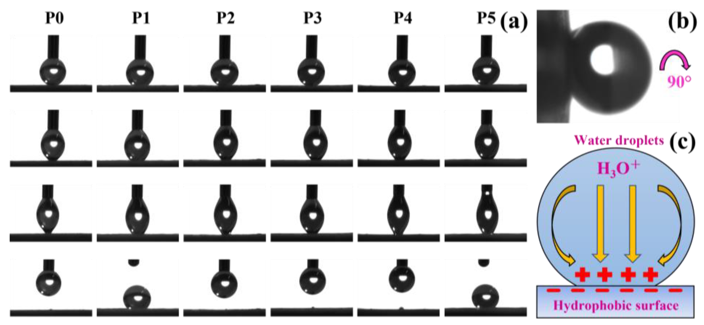 Biomimetics 07 00217 g006