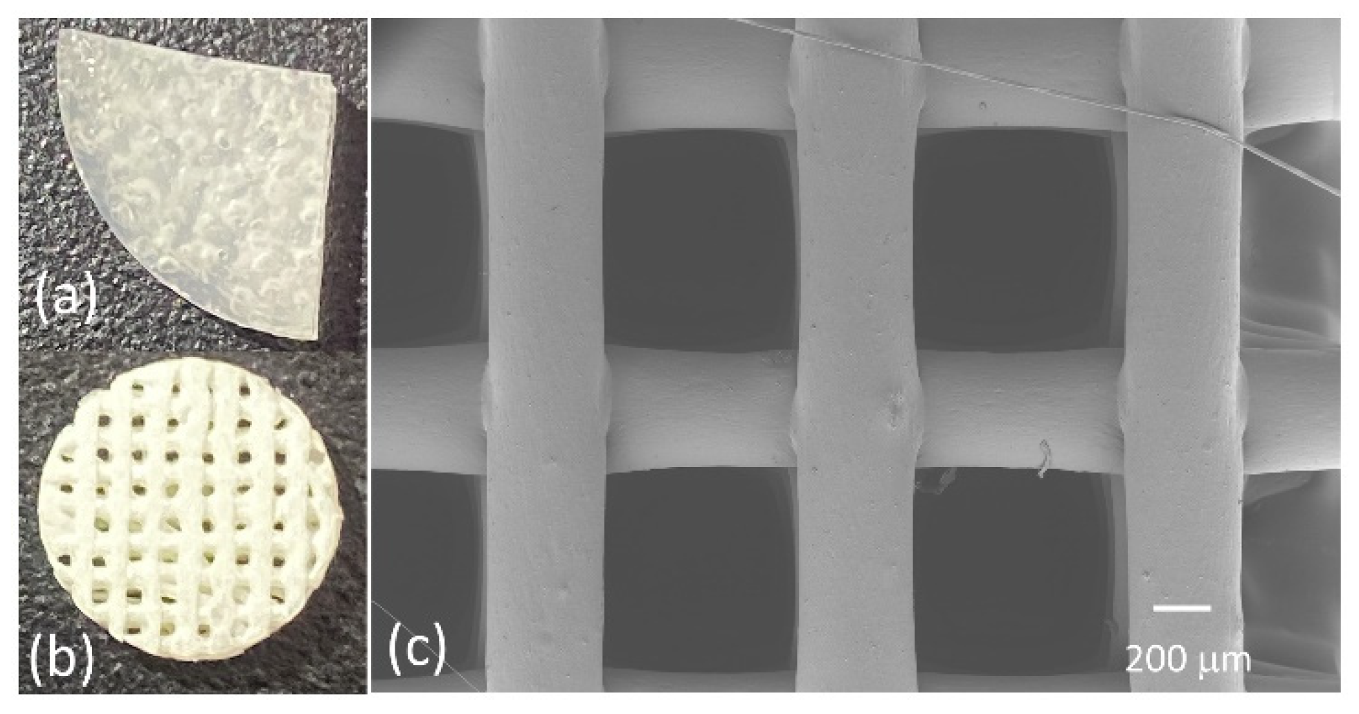 Biomimetics 07 00218 g001