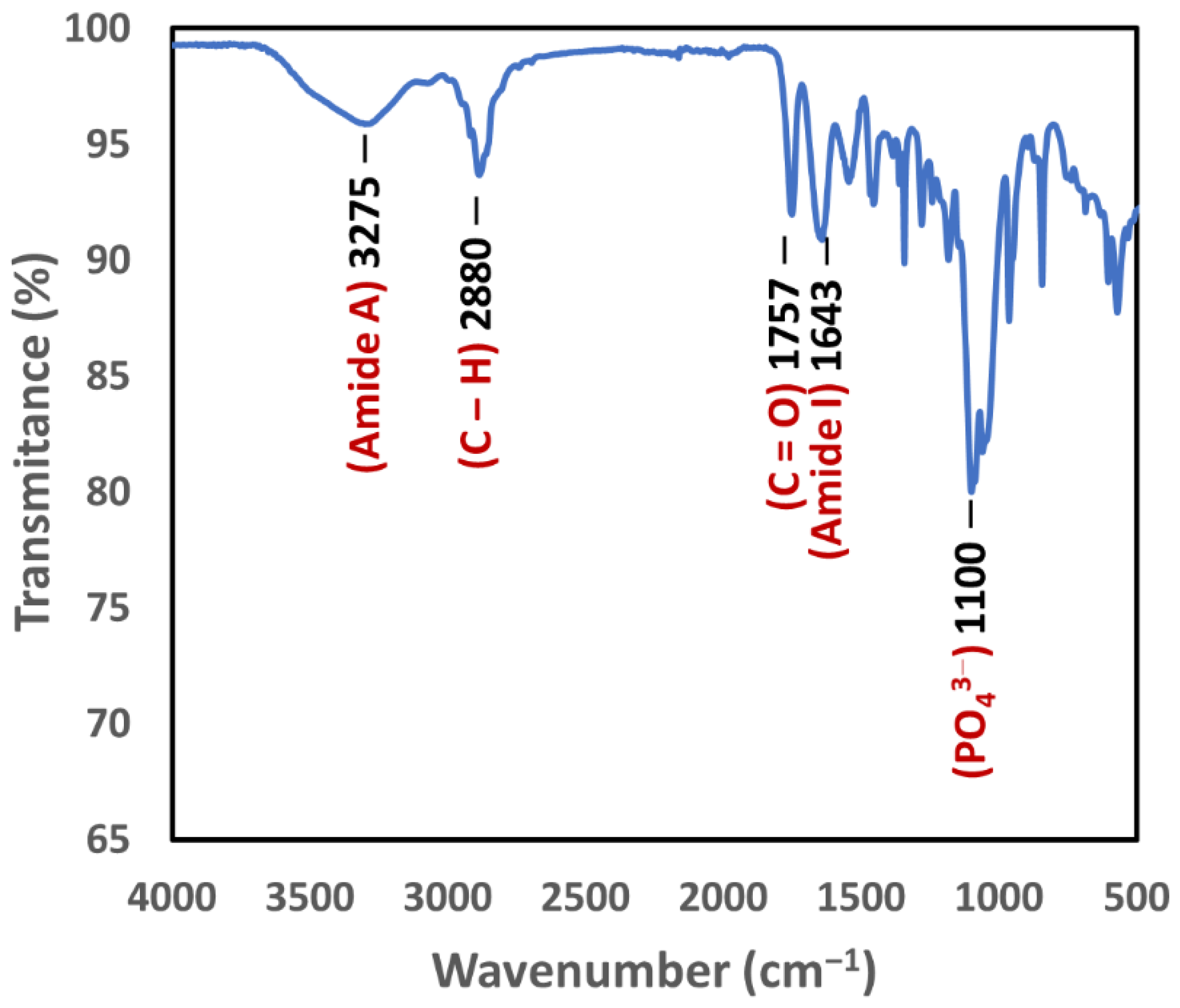 Biomimetics 07 00218 g005