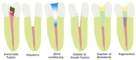 Biomimetics 07 00229 g002
