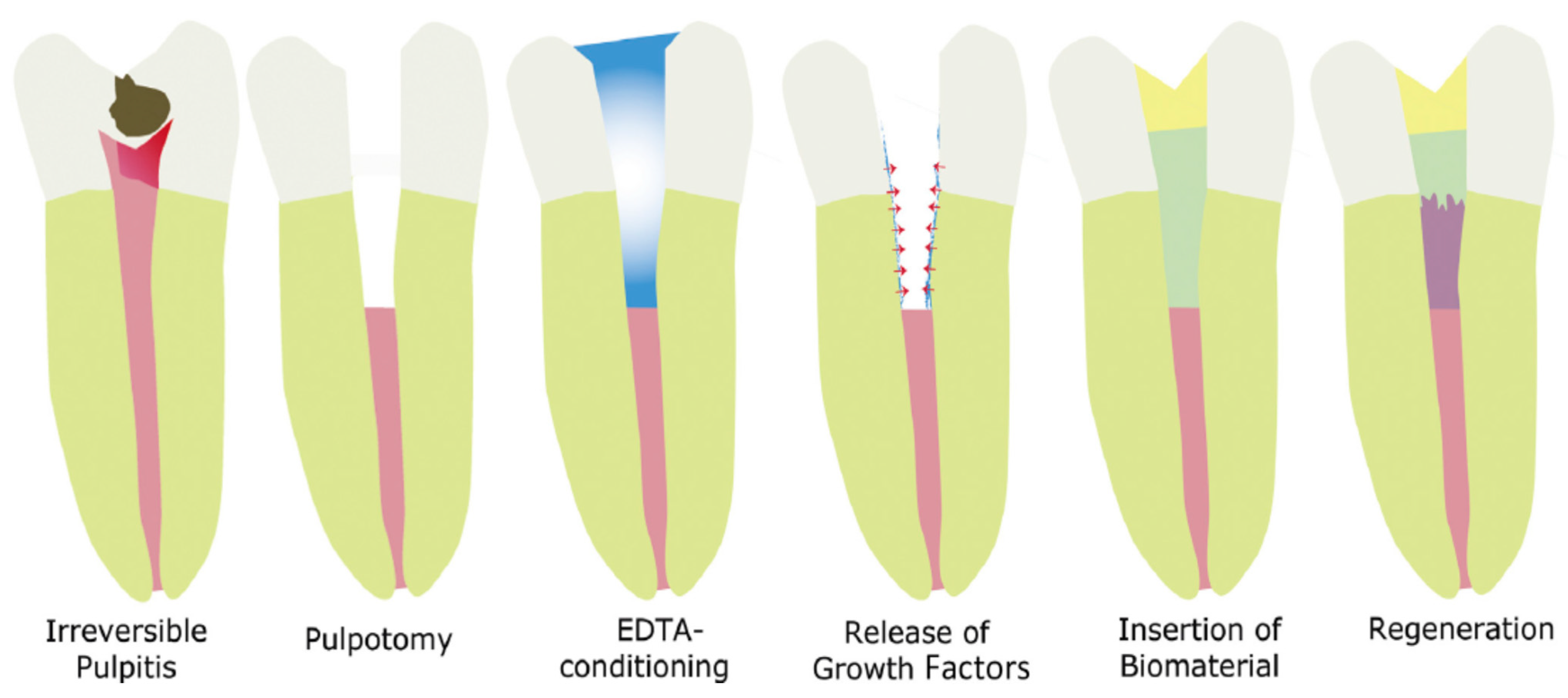 Biomimetics 07 00229 g002 Biomimetics 07 00229 g002