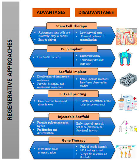 Biomimetics 07 00229 g003