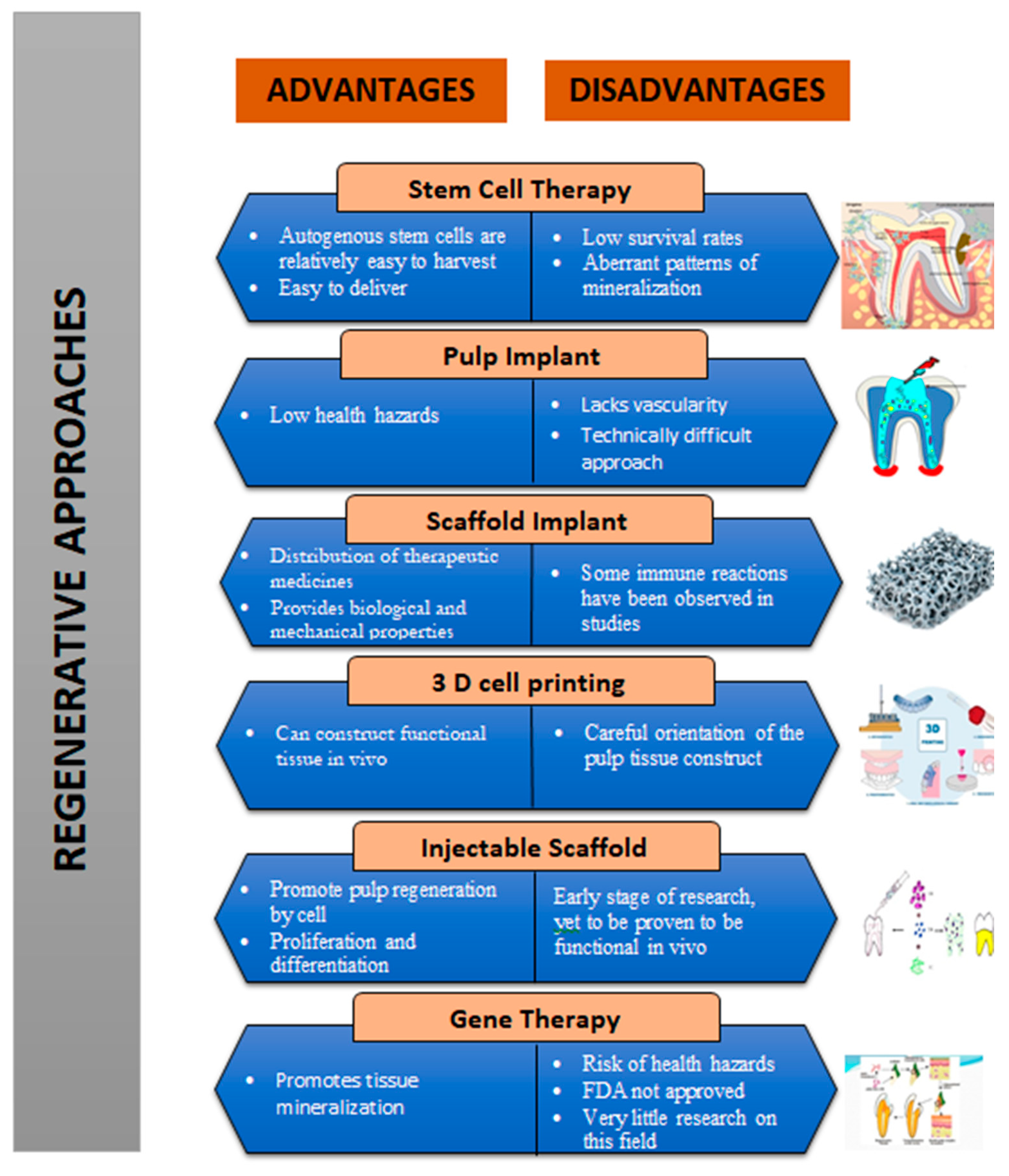 Biomimetics 07 00229 g003 Biomimetics 07 00229 g003