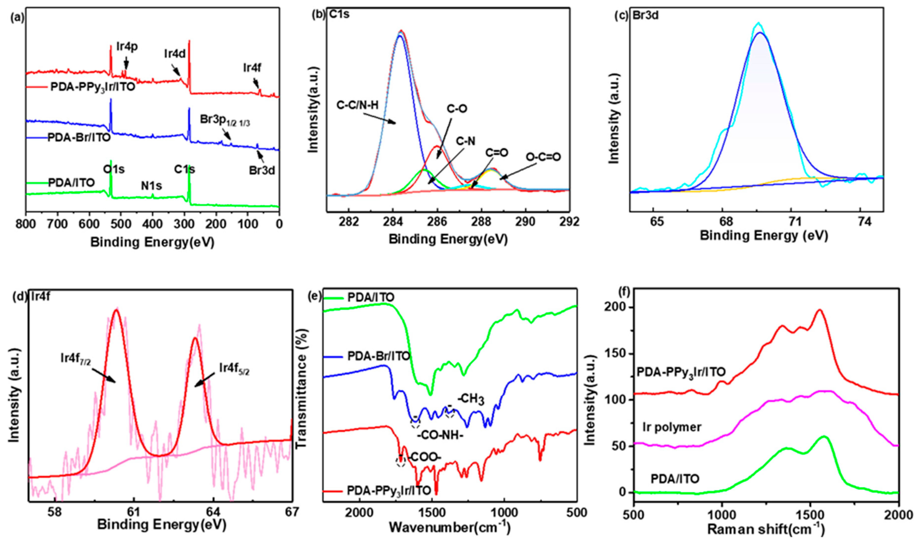 Biomimetics 07 00237 g001