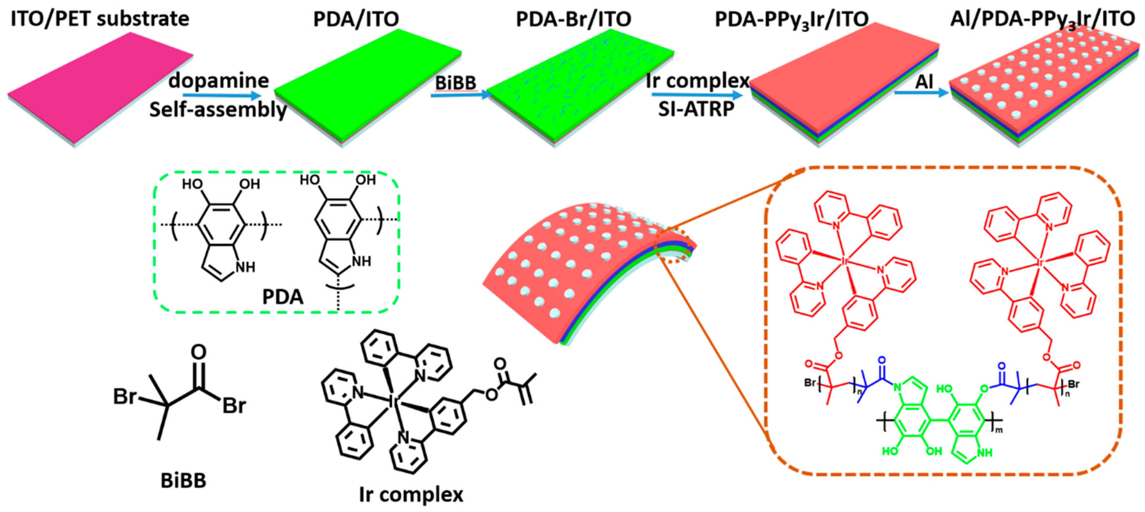 Biomimetics 07 00237 sch001