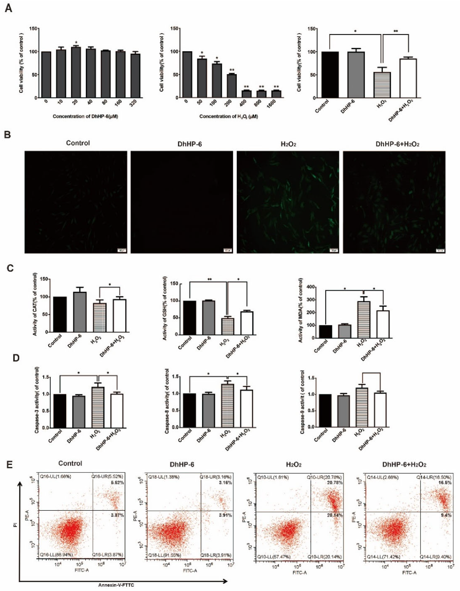 Biomimetics 07 00240 g001
