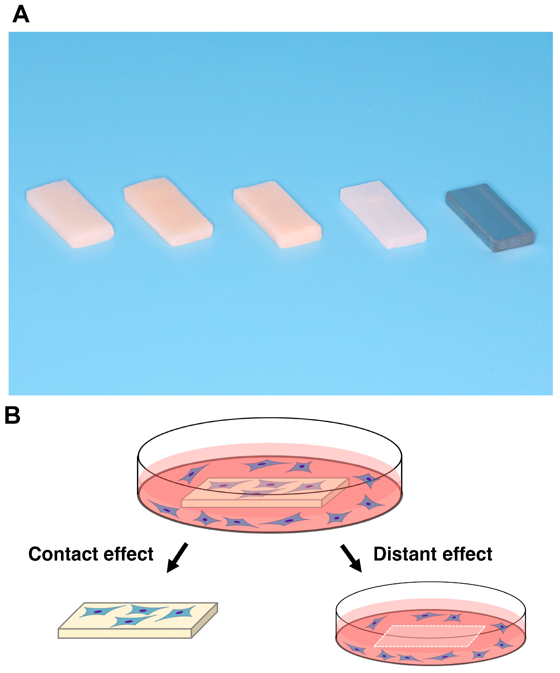 Biomimetics 07 00243 g001