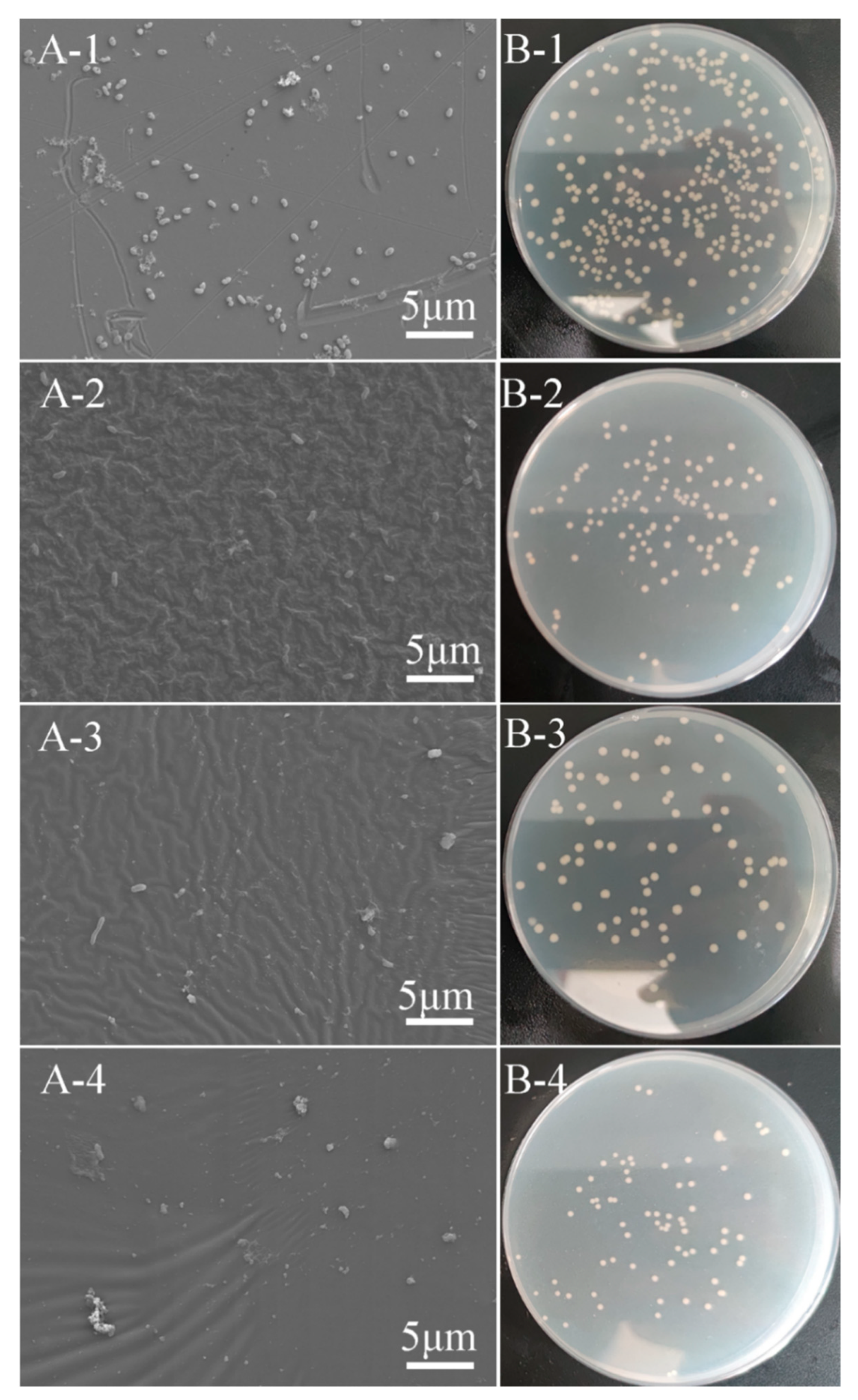 Biomimetics 07 00248 g008