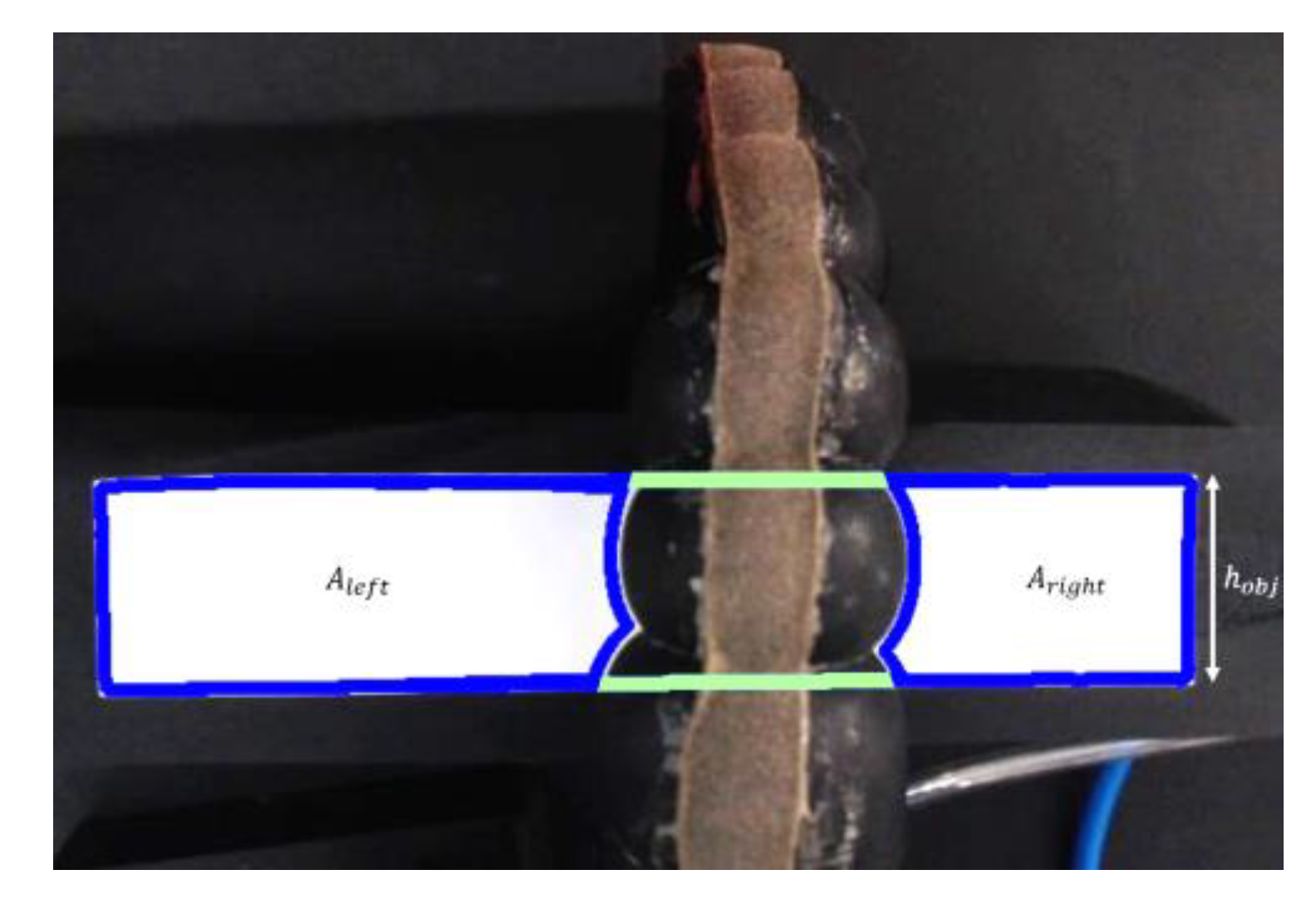 Biomimetics 07 00249 g004