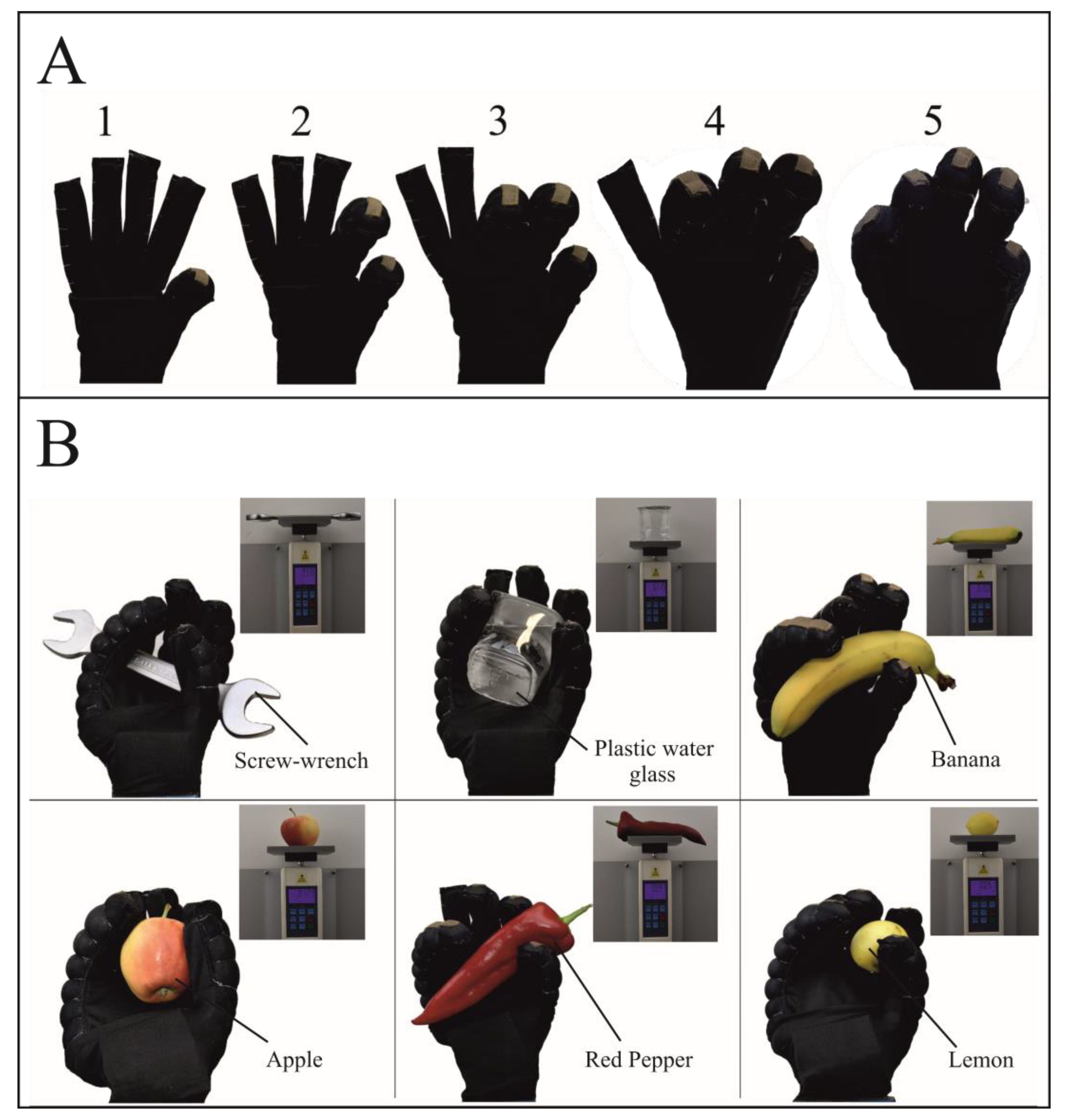 Biomimetics 07 00249 g009