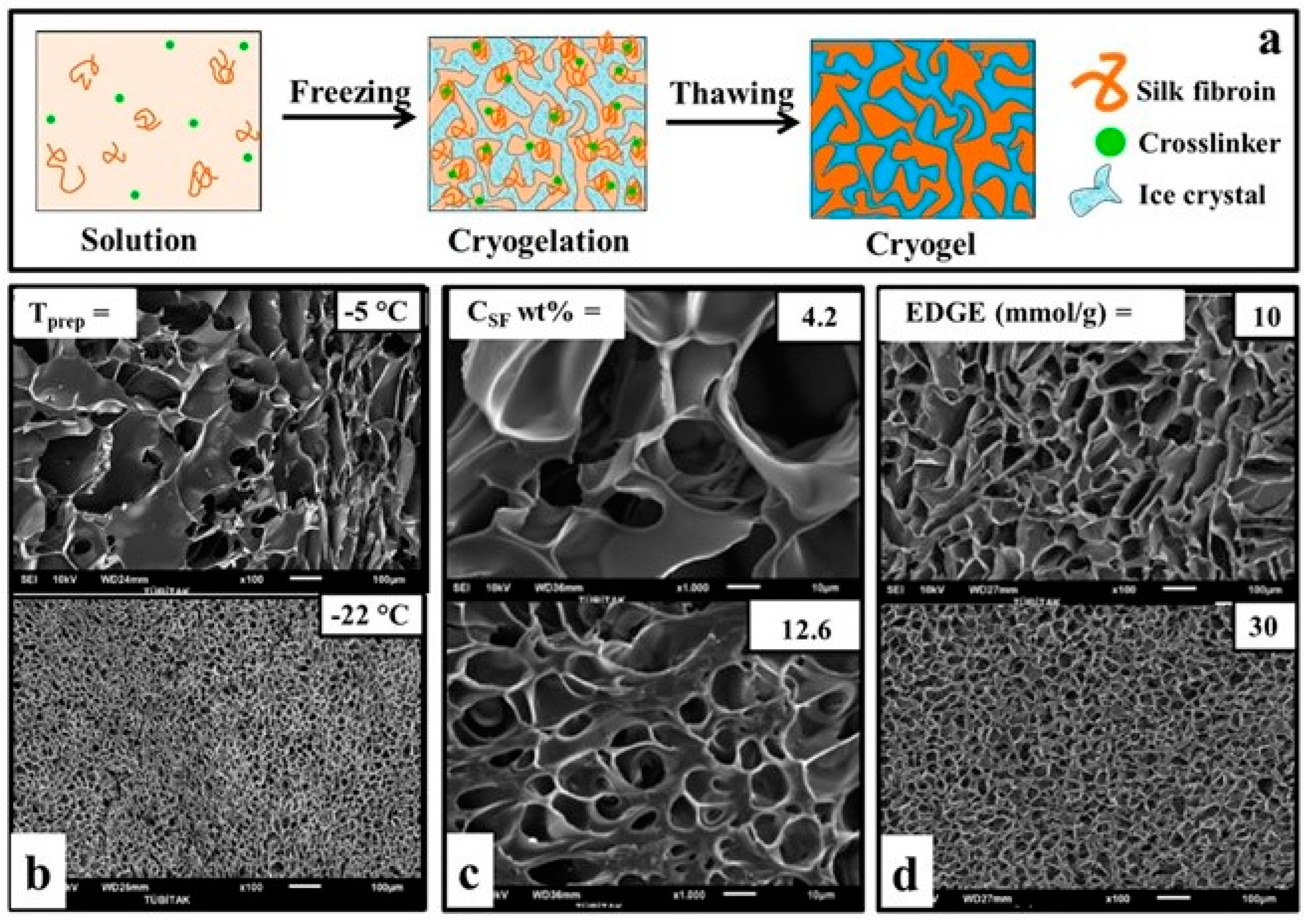 Biomimetics 08 00005 g001