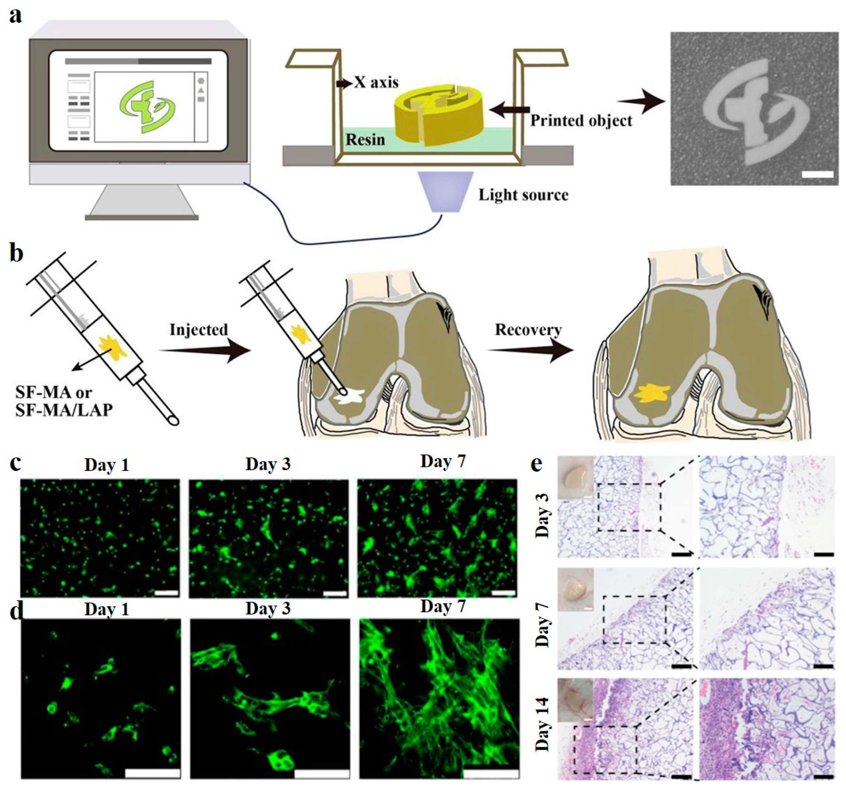 Biomimetics 08 00005 g002