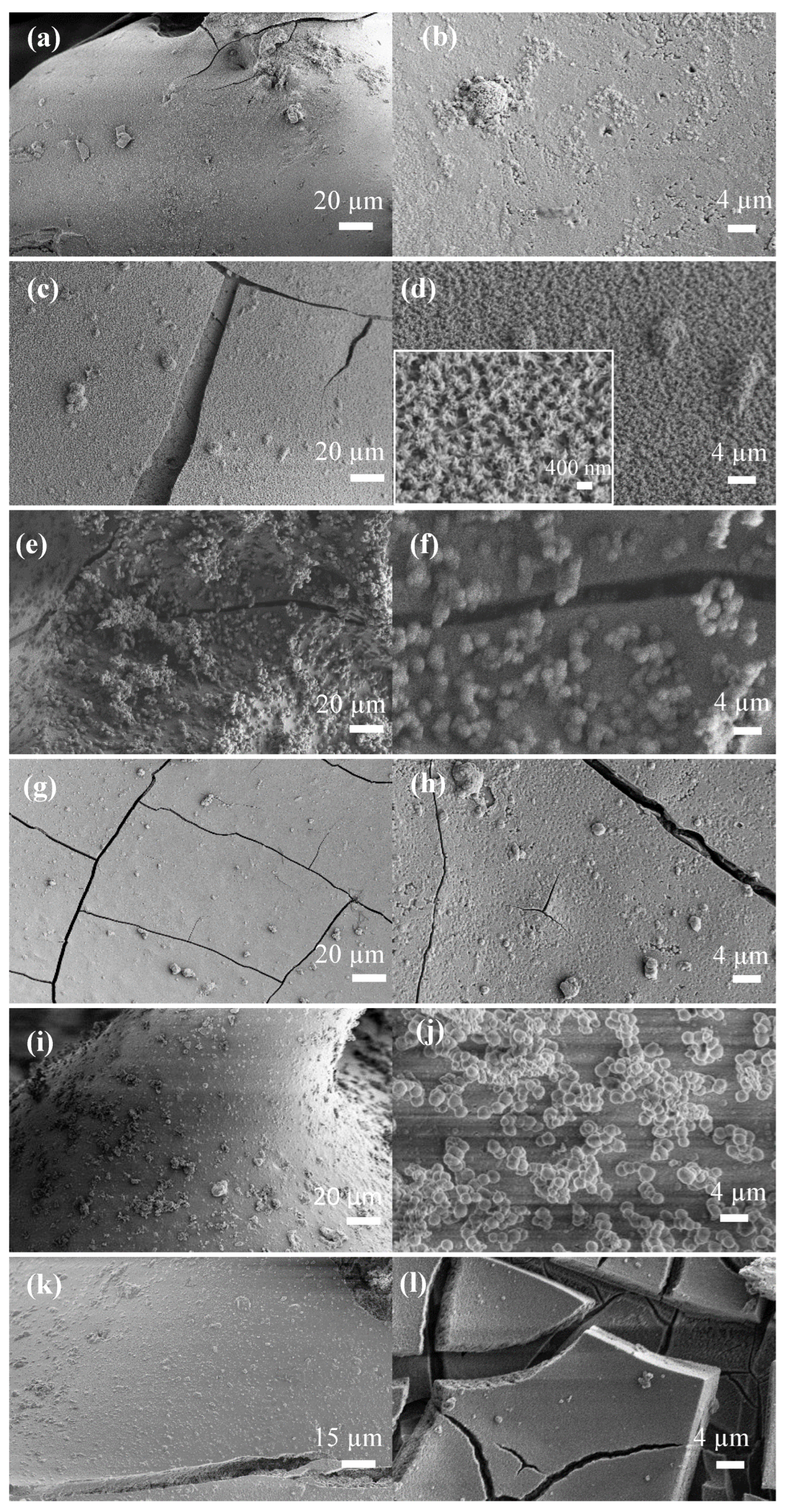 Biomimetics 08 00010 g006