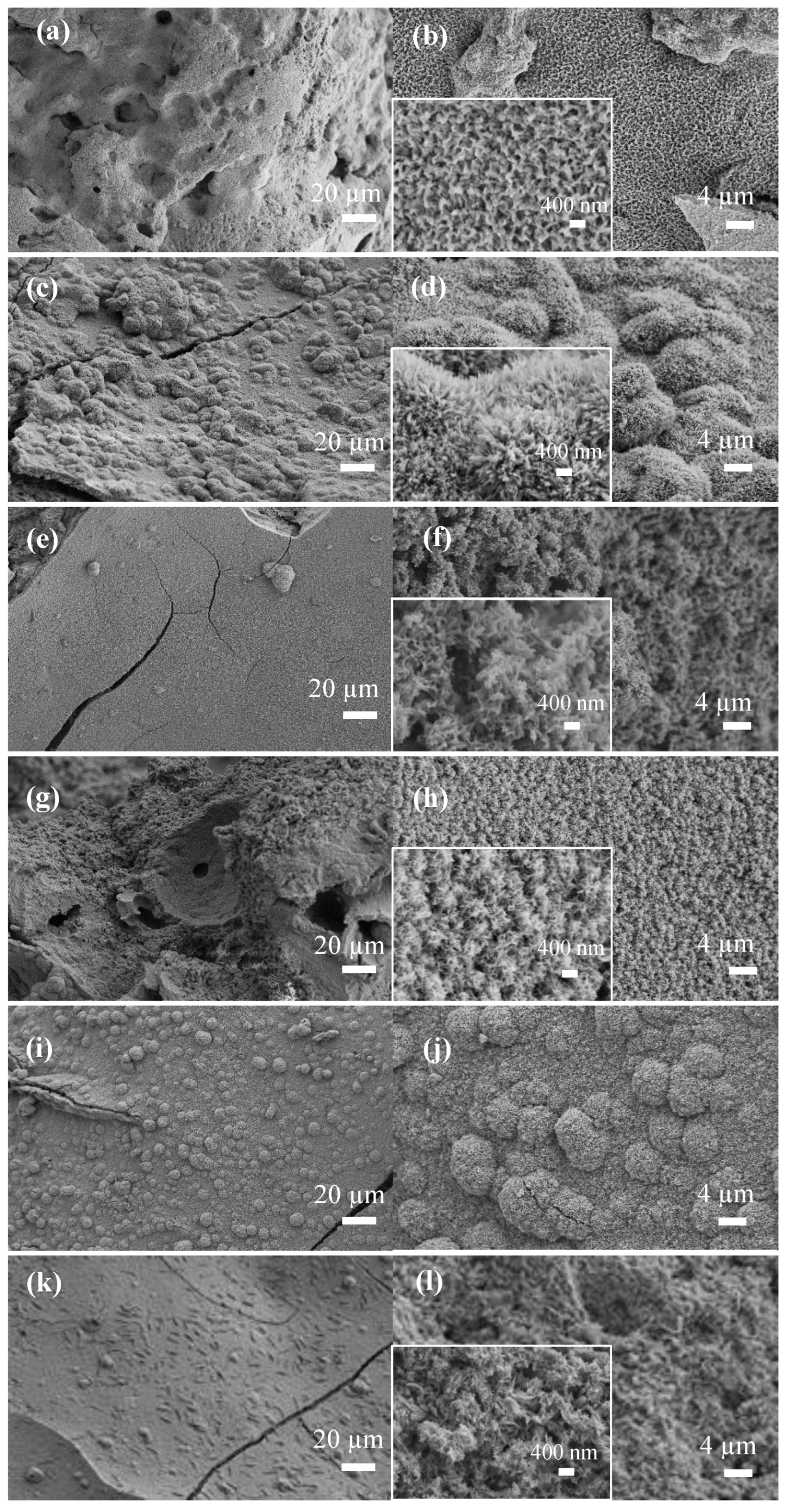 Biomimetics 08 00010 g007