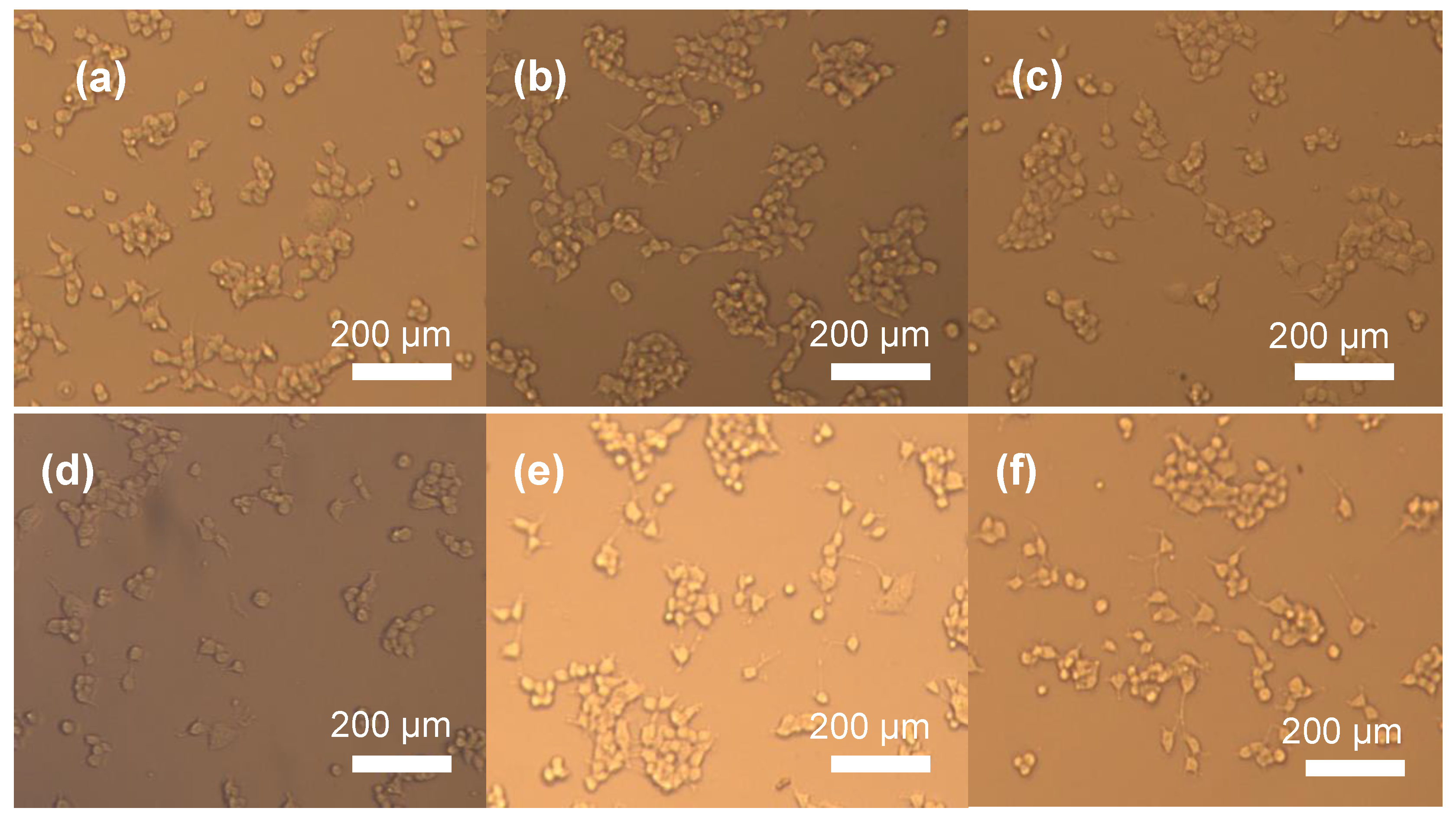 Biomimetics 08 00010 g012