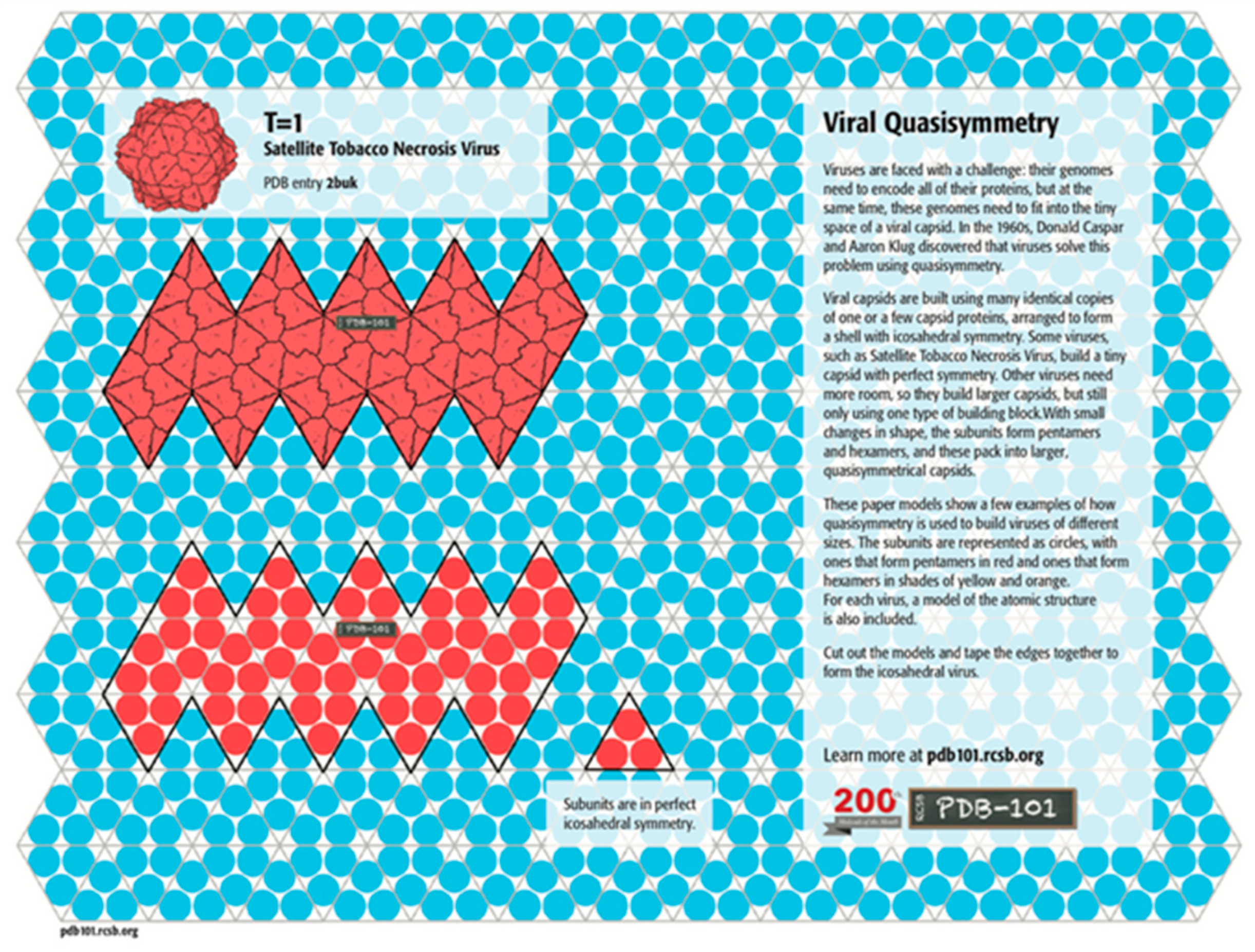 Biomimetics 08 00012 g001