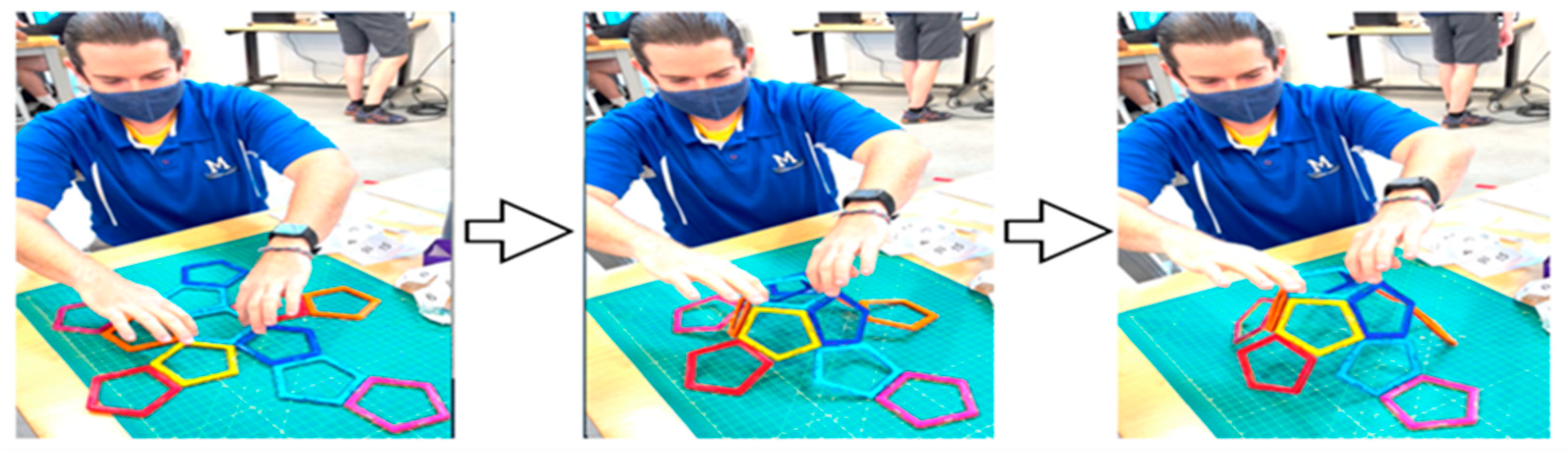 Biomimetics 08 00012 g006