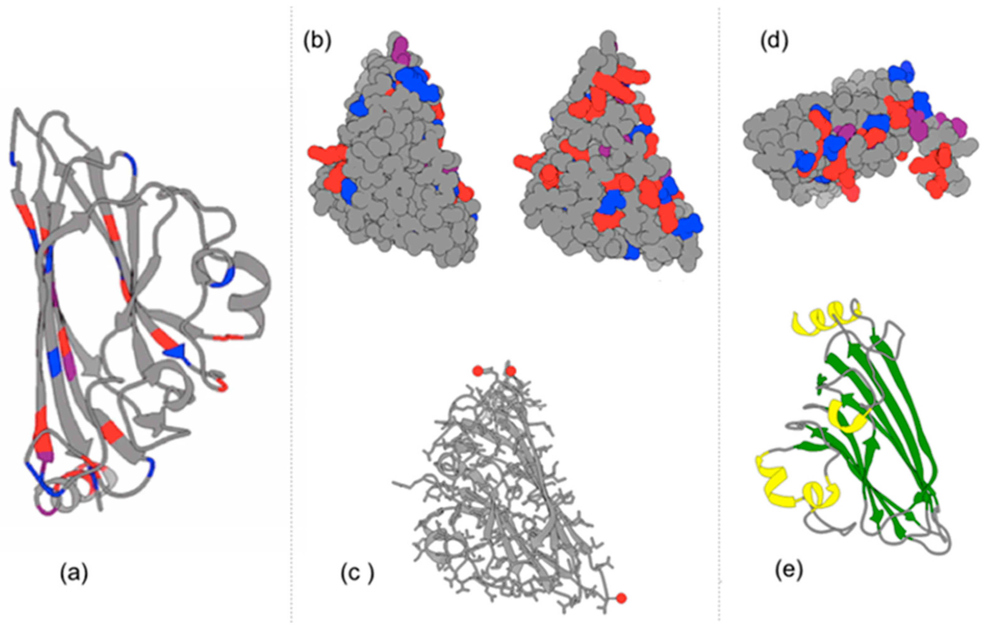Biomimetics 08 00012 g008