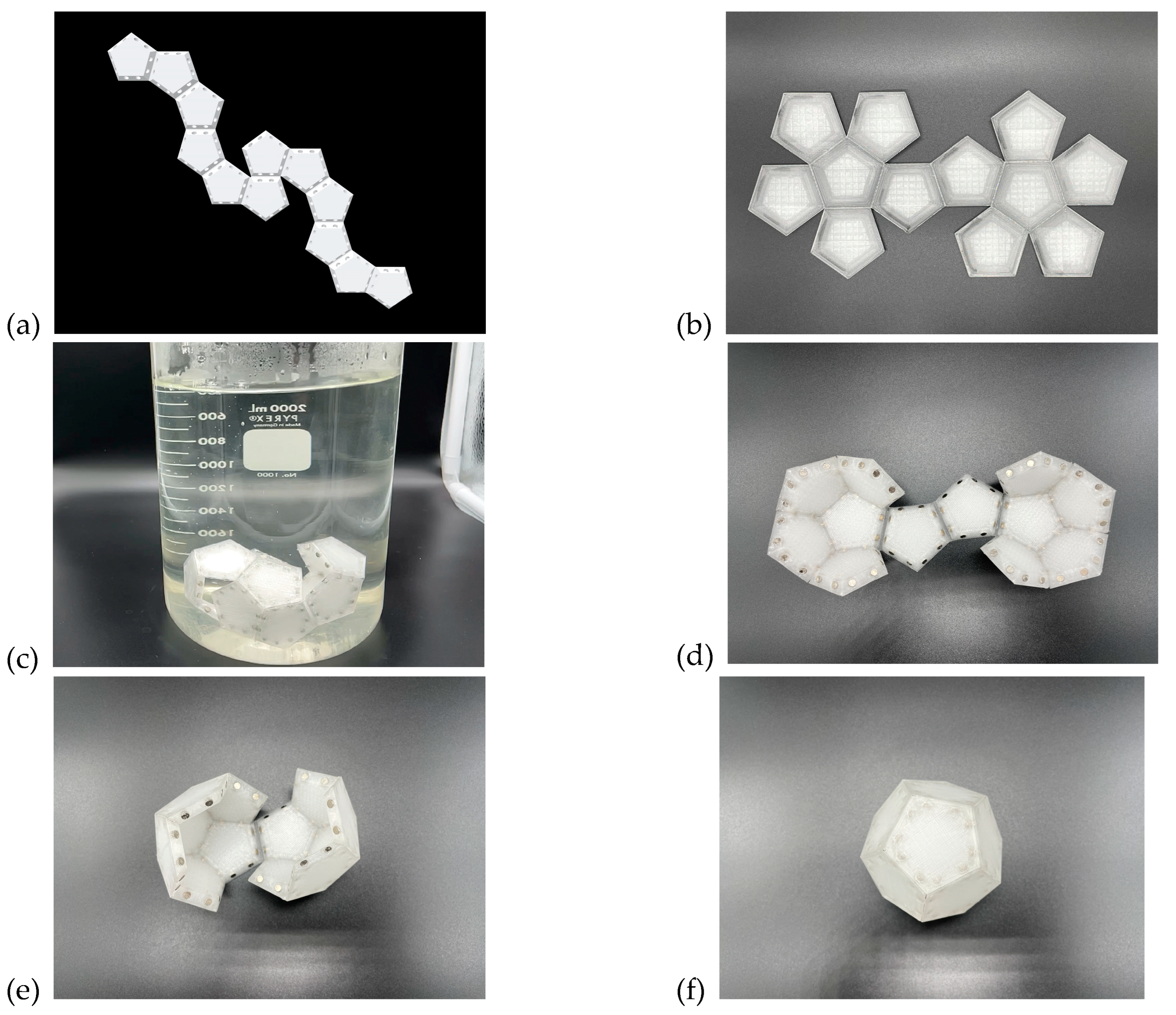 Biomimetics 08 00012 g025