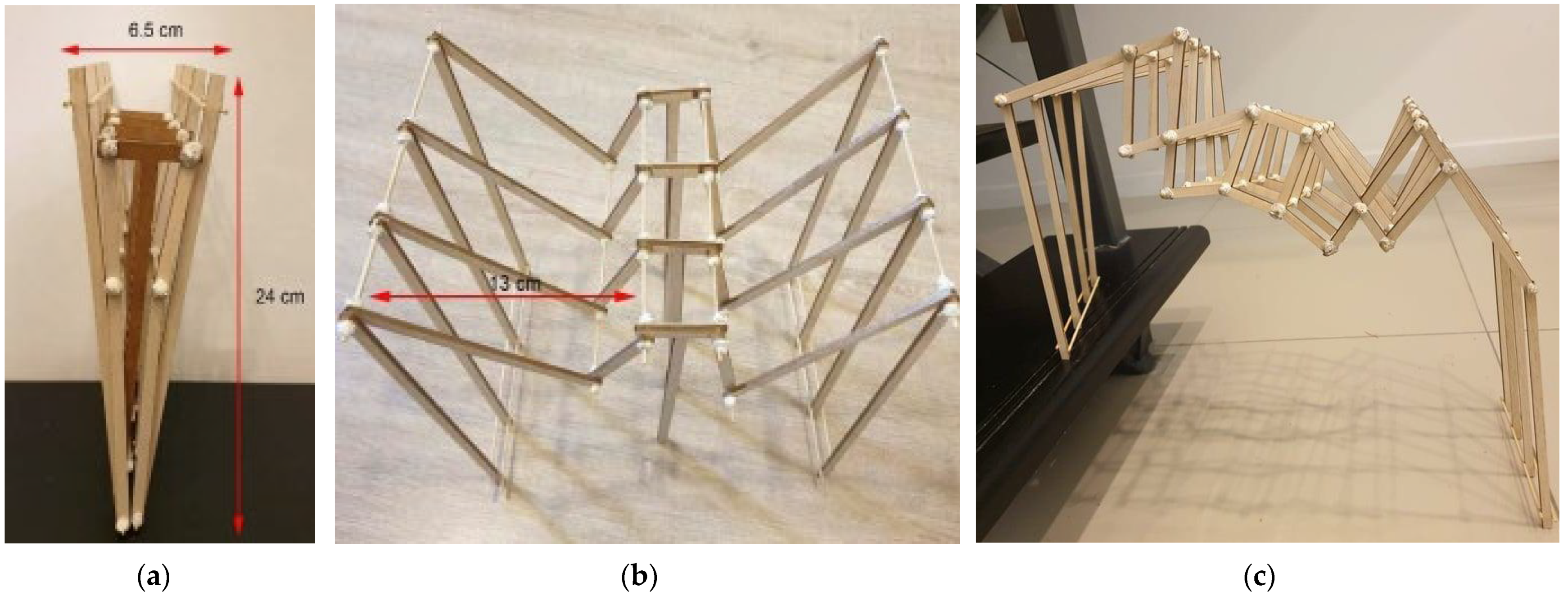 Biomimetics 08 00013 g005 Biomimetics 08 00013 g005