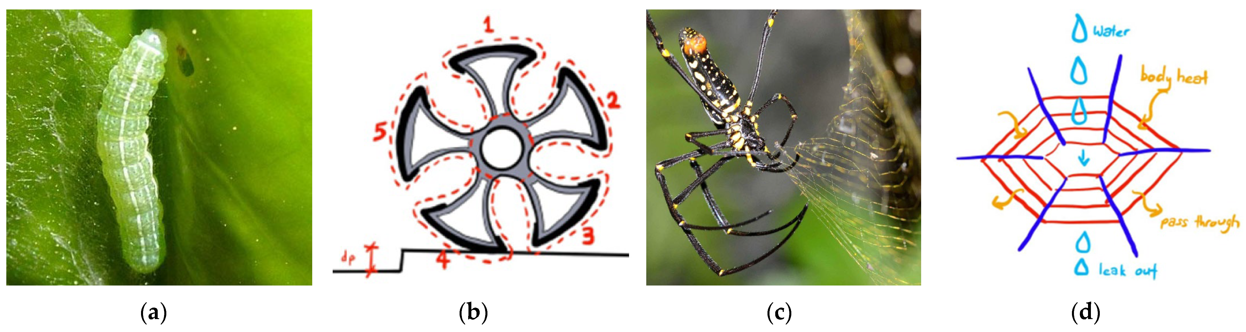 Biomimetics 08 00013 g011 Biomimetics 08 00013 g011