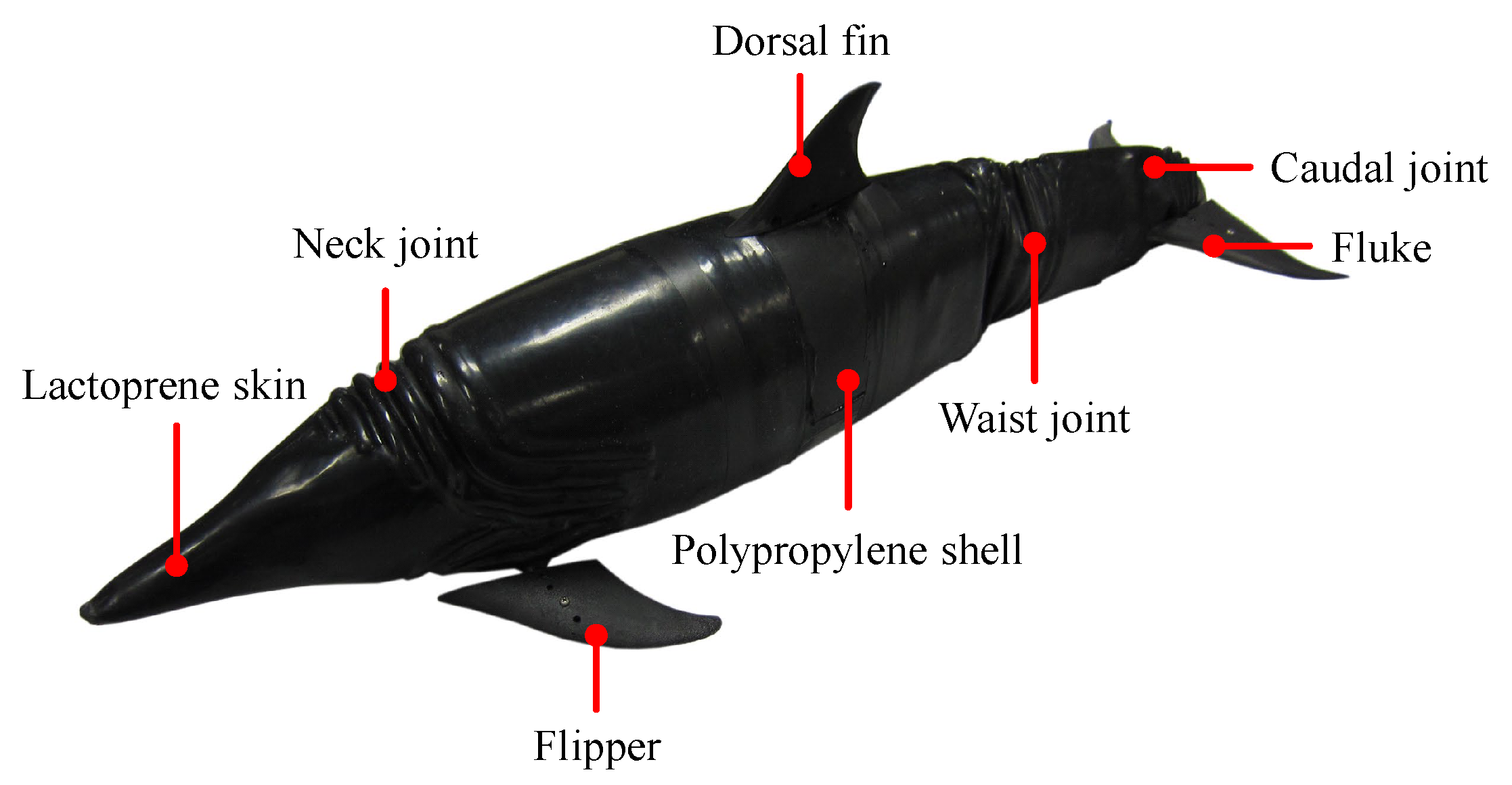 Biomimetics 08 00021 g002 Biomimetics 08 00021 g002