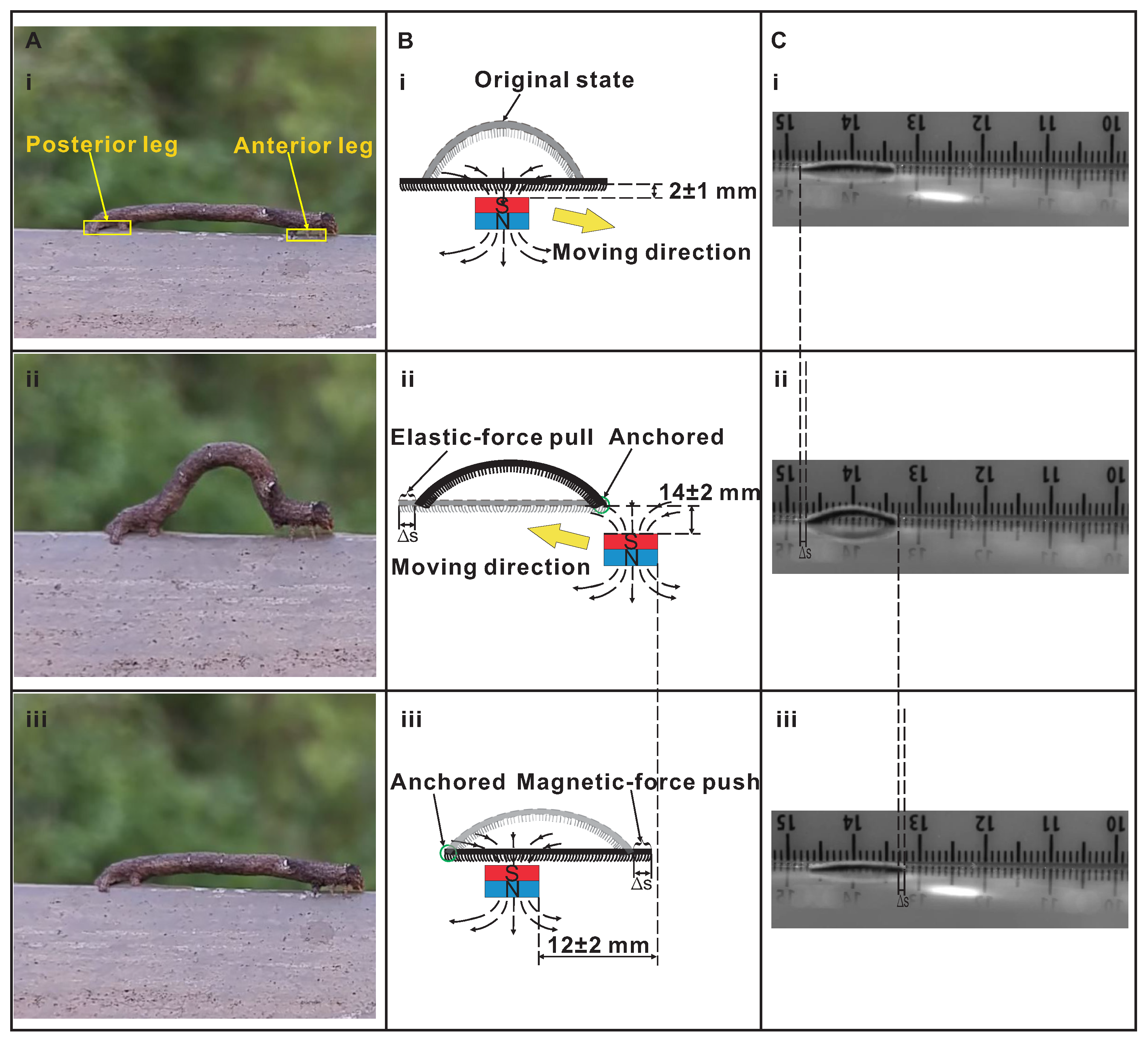Biomimetics 08 00022 g002