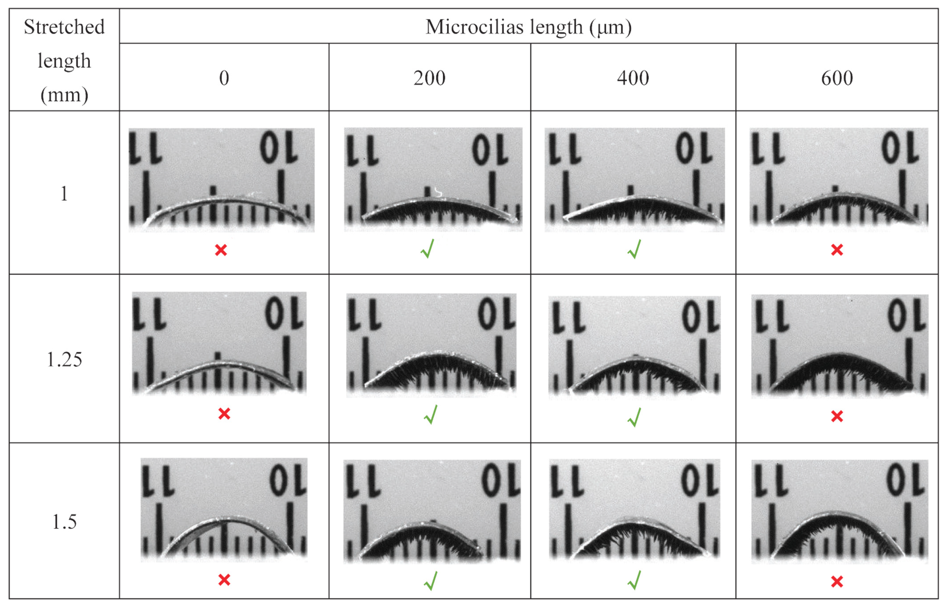 Biomimetics 08 00022 g003