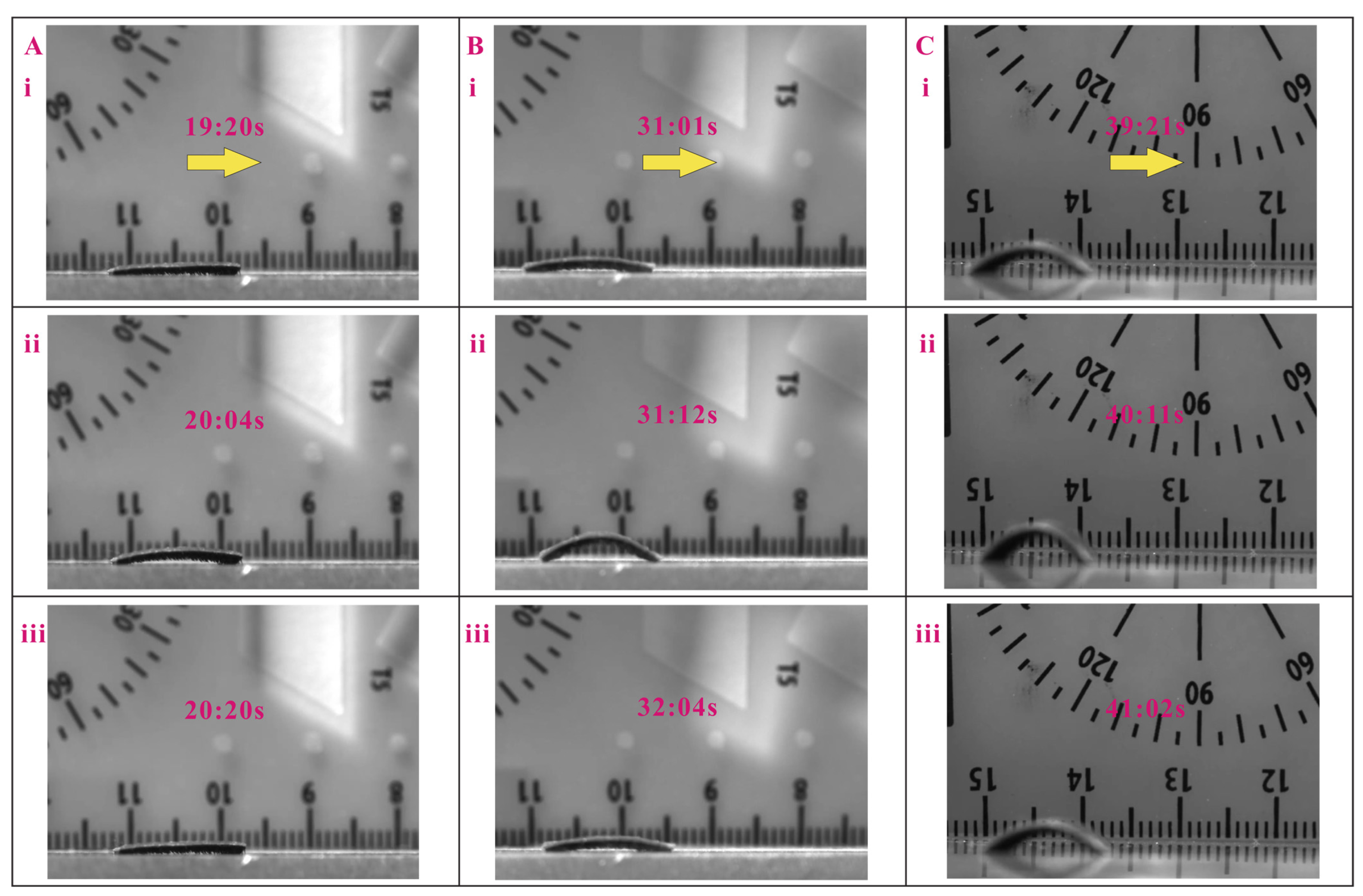 Biomimetics 08 00022 g004