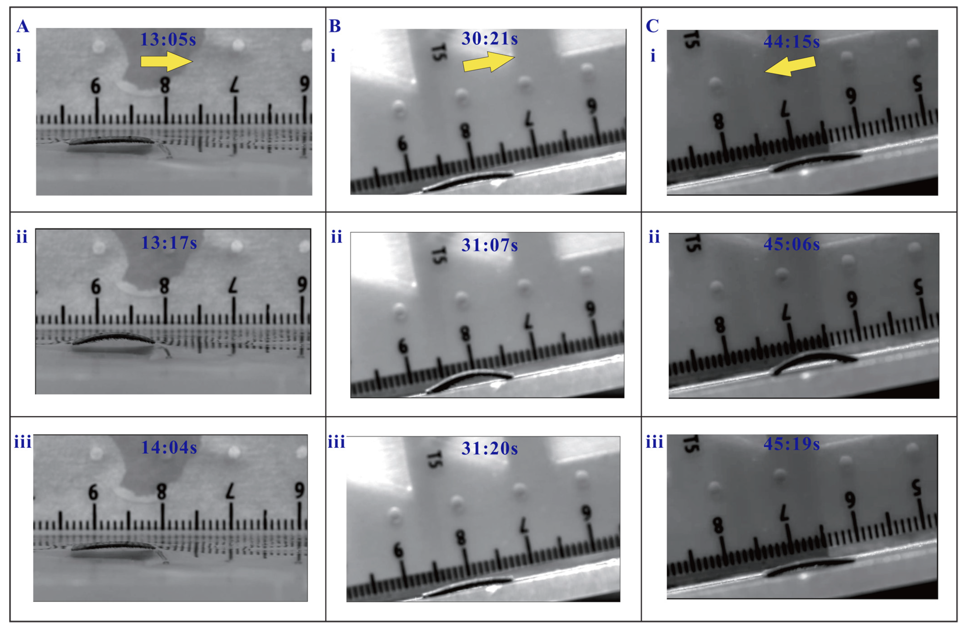 Biomimetics 08 00022 g006