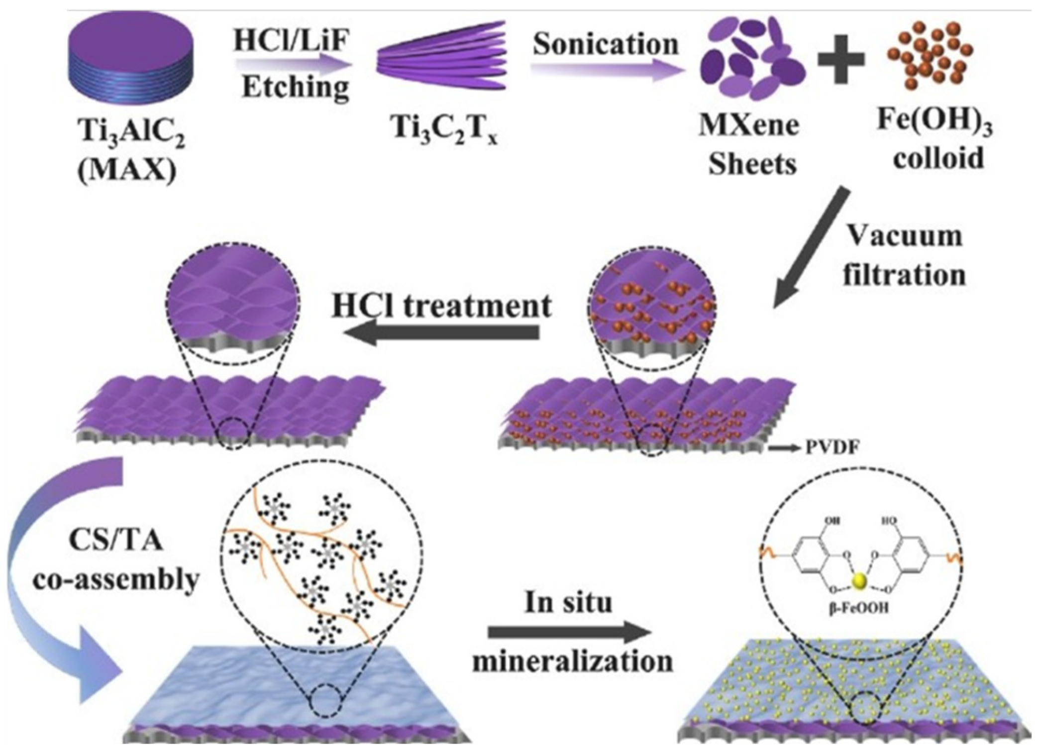 Biomimetics 08 00035 g003 Biomimetics 08 00035 g003