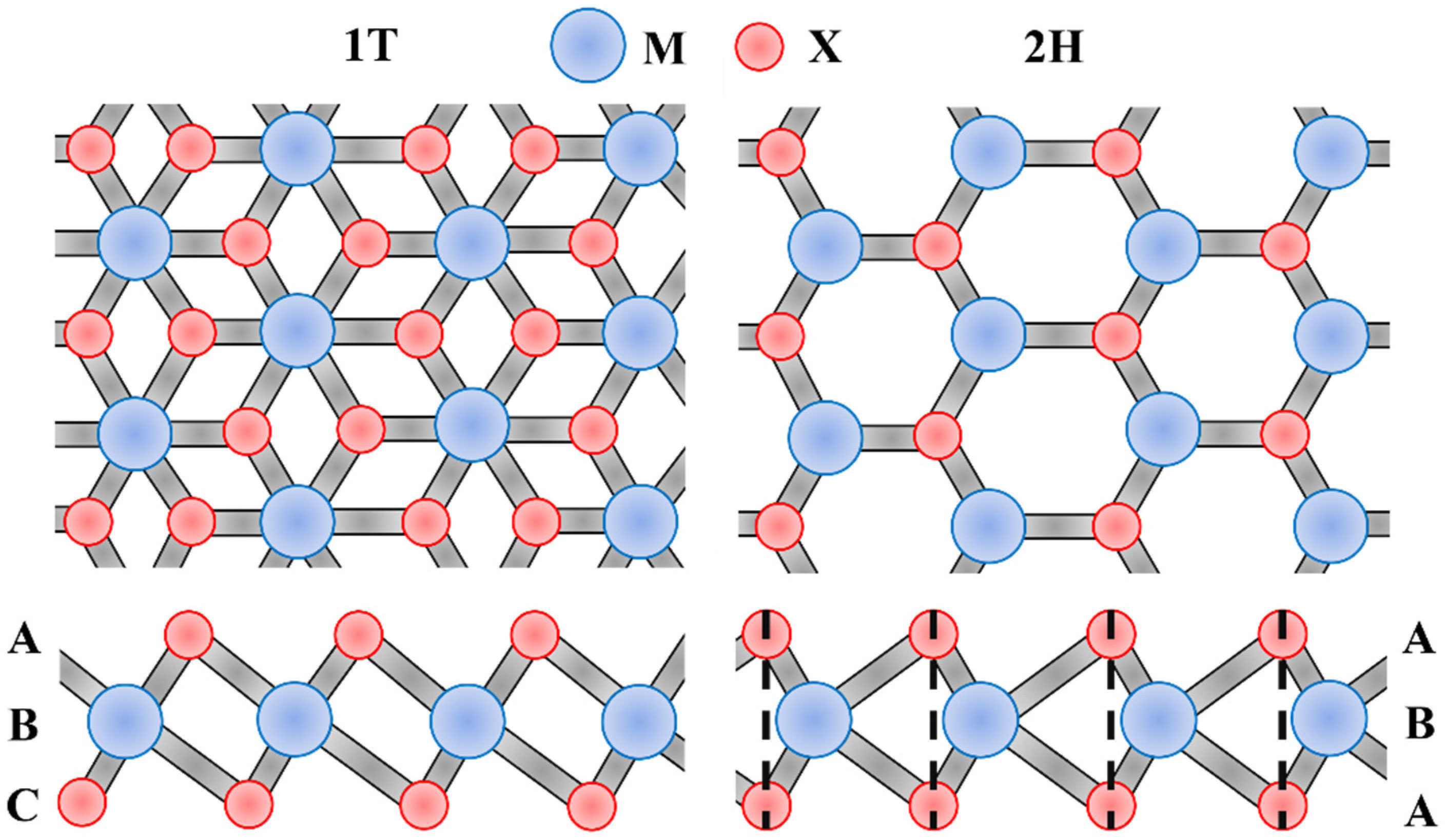 Biomimetics 08 00035 g009 Biomimetics 08 00035 g009