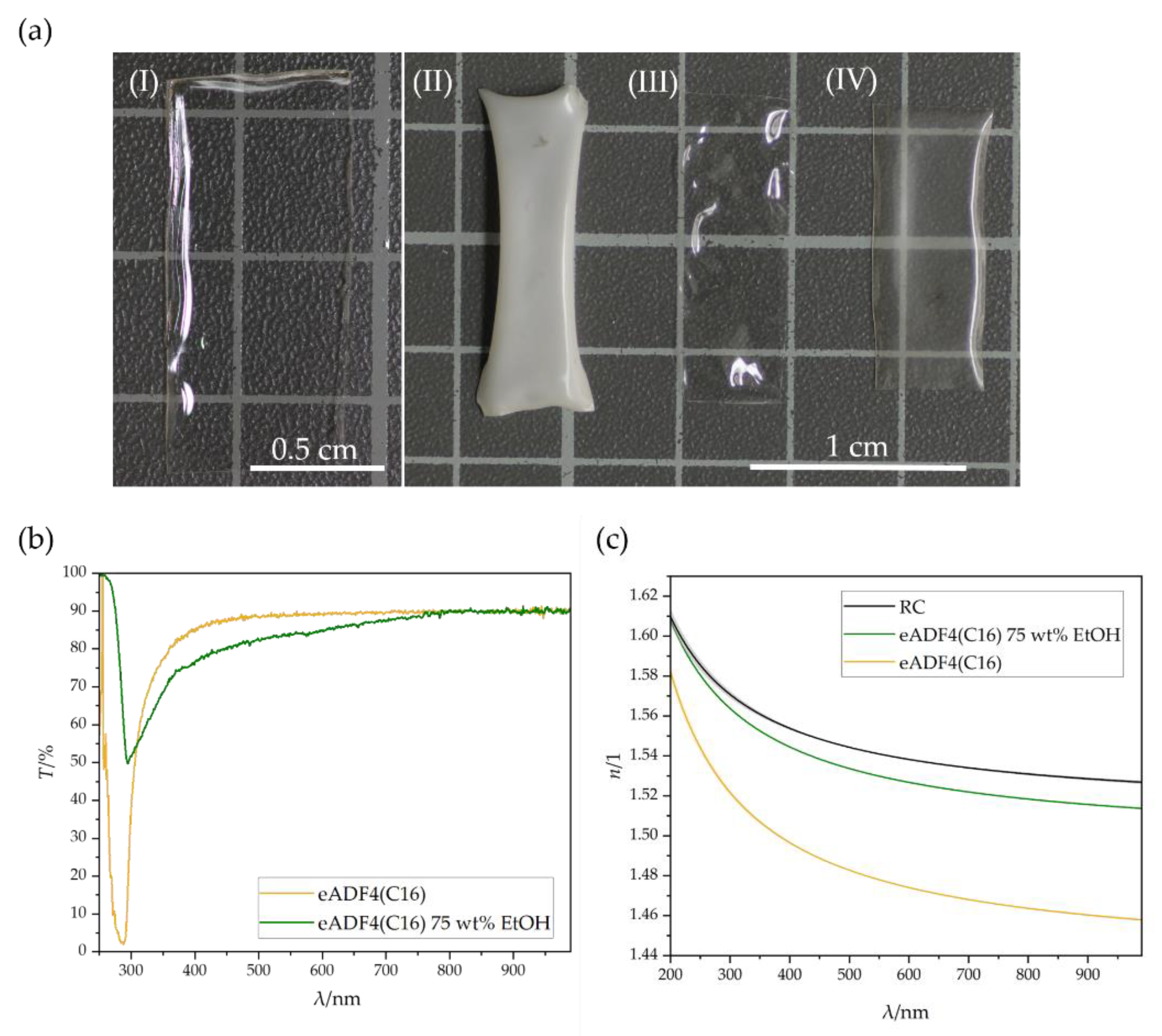 Biomimetics 08 00037 g001