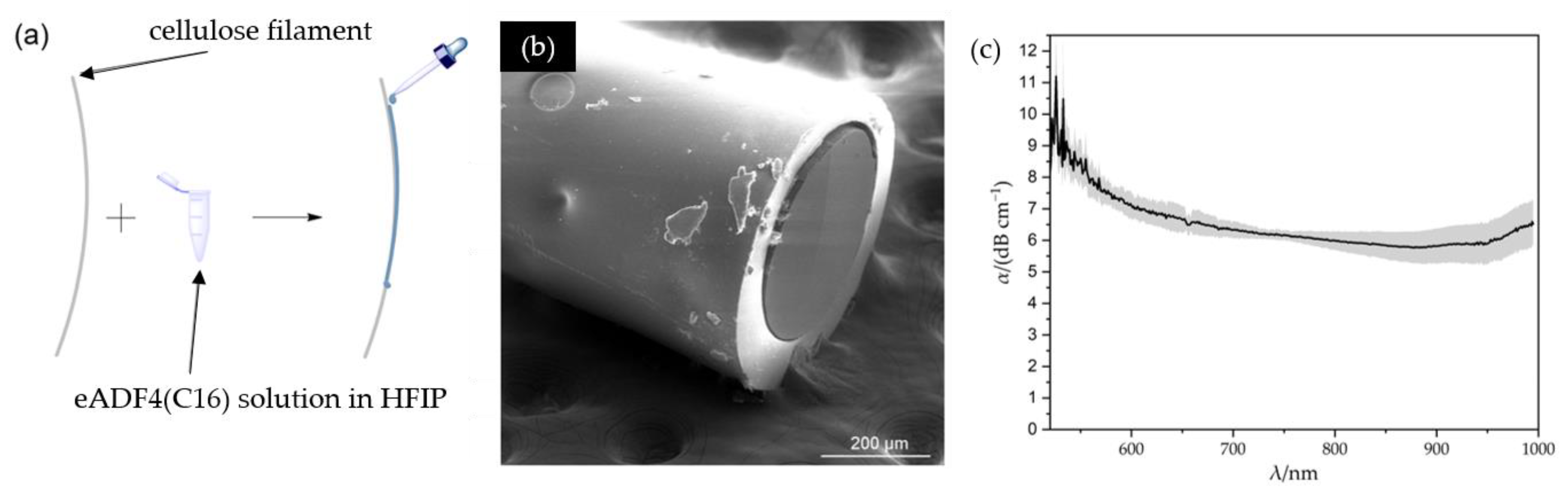 Biomimetics 08 00037 g002