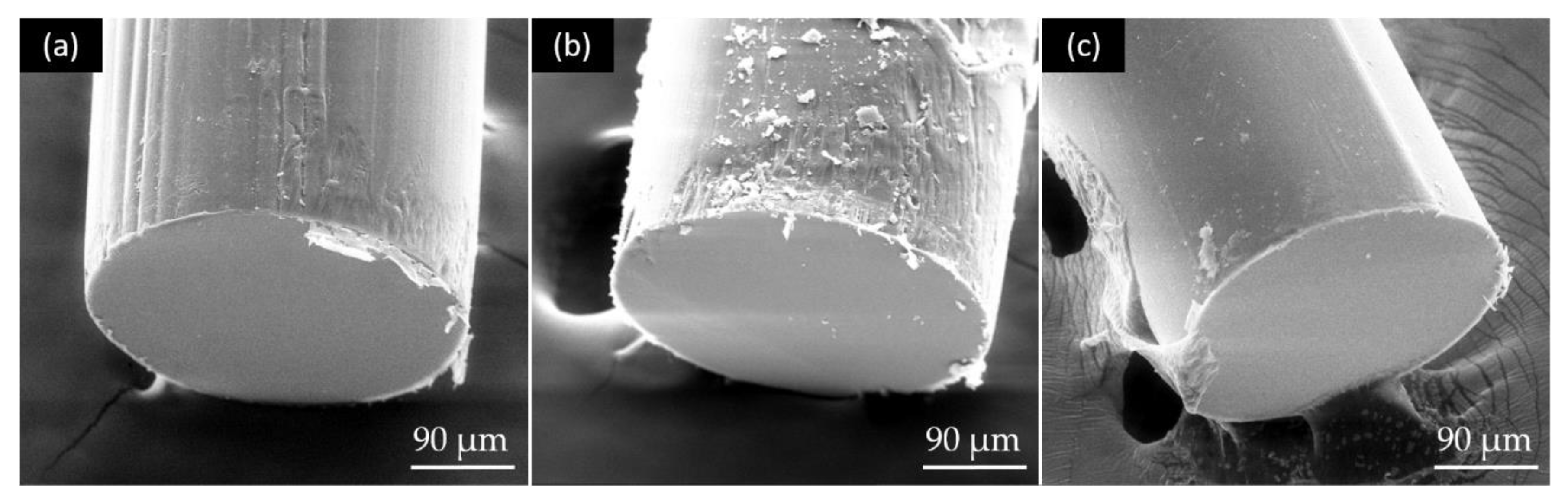 Biomimetics 08 00037 g004