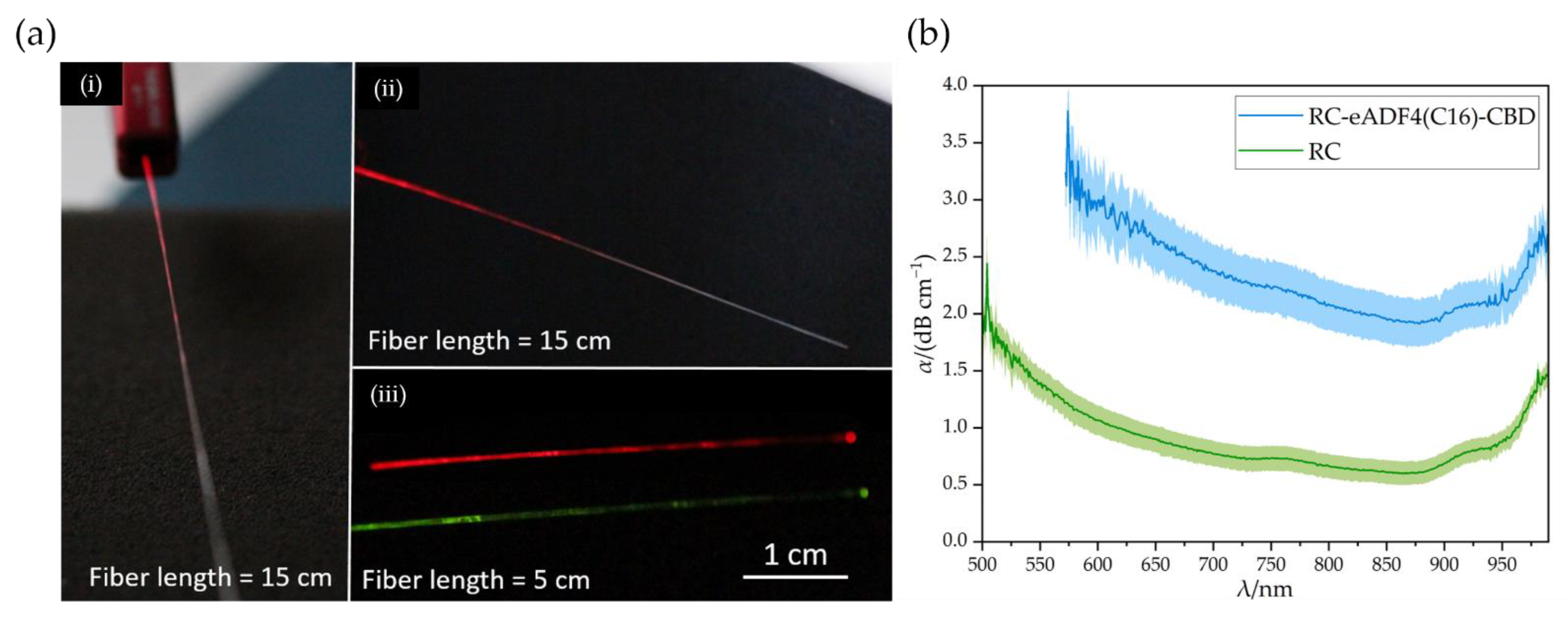 Biomimetics 08 00037 g006