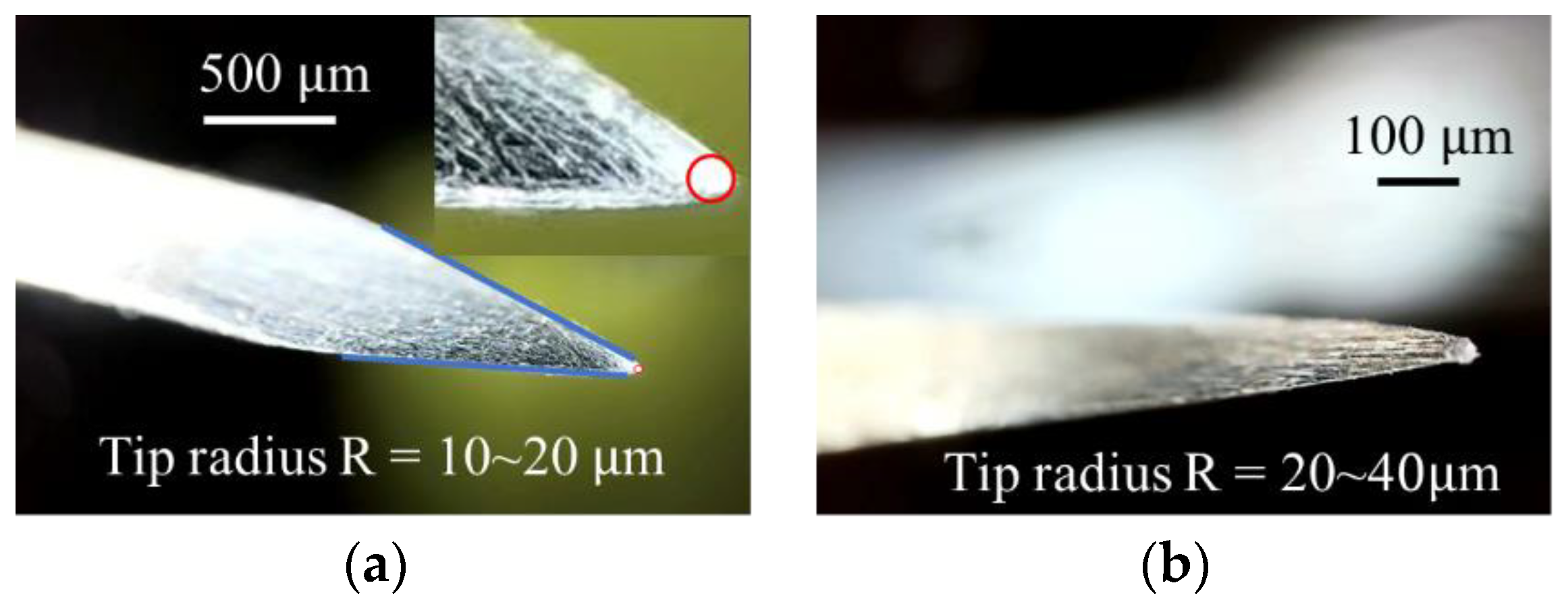 Biomimetics 08 00039 g002