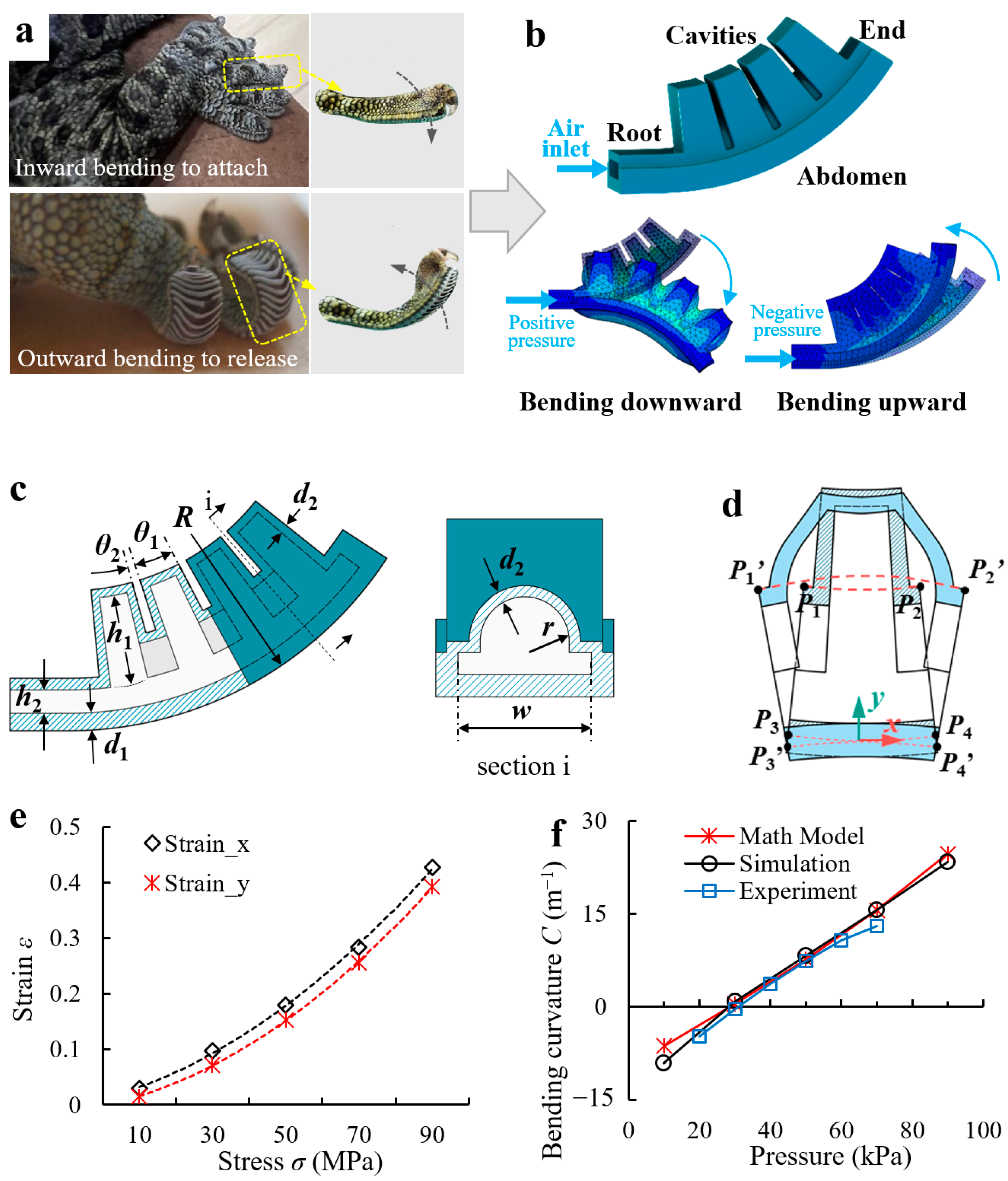 Biomimetics 08 00040 g001