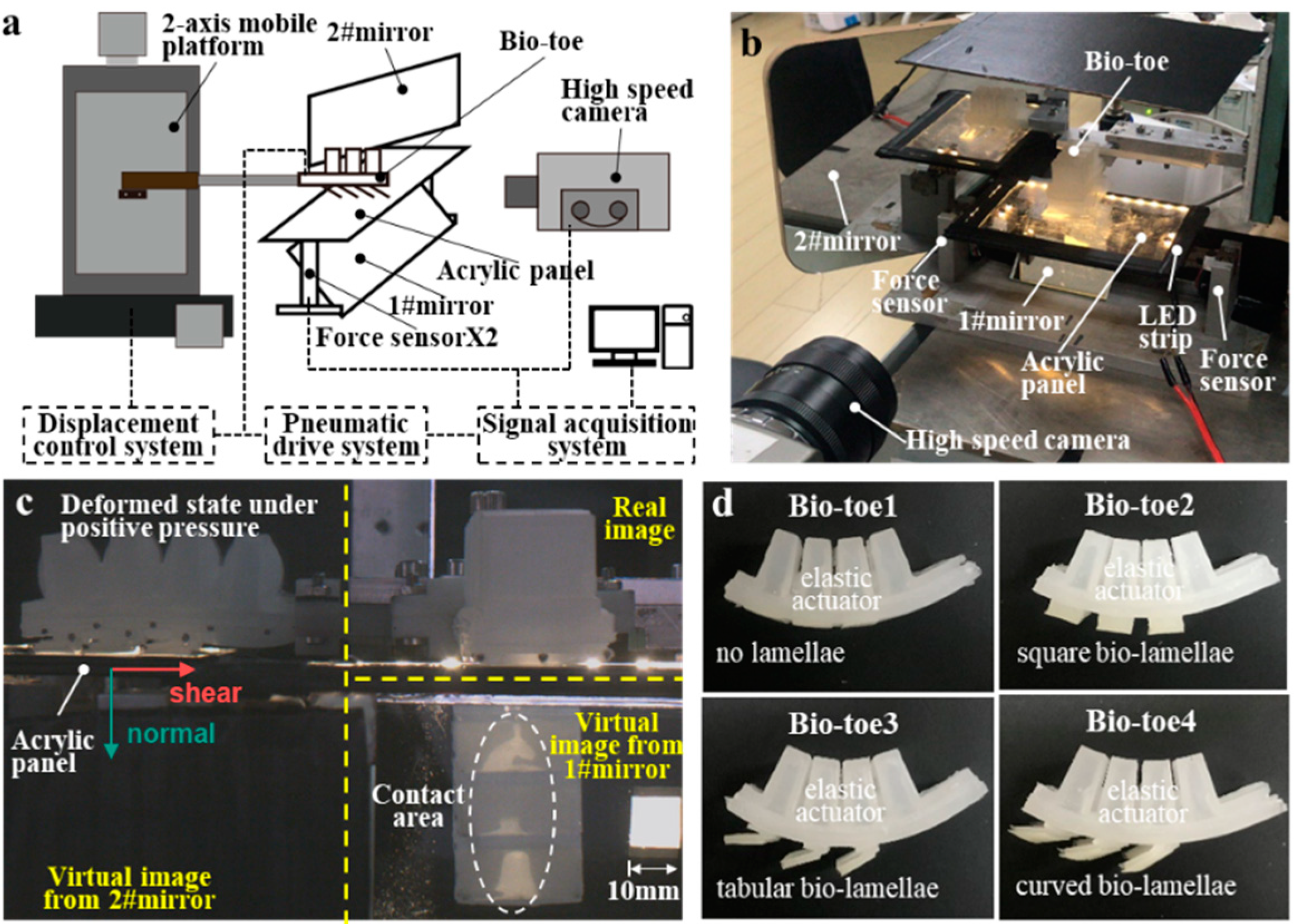 Biomimetics 08 00040 g005