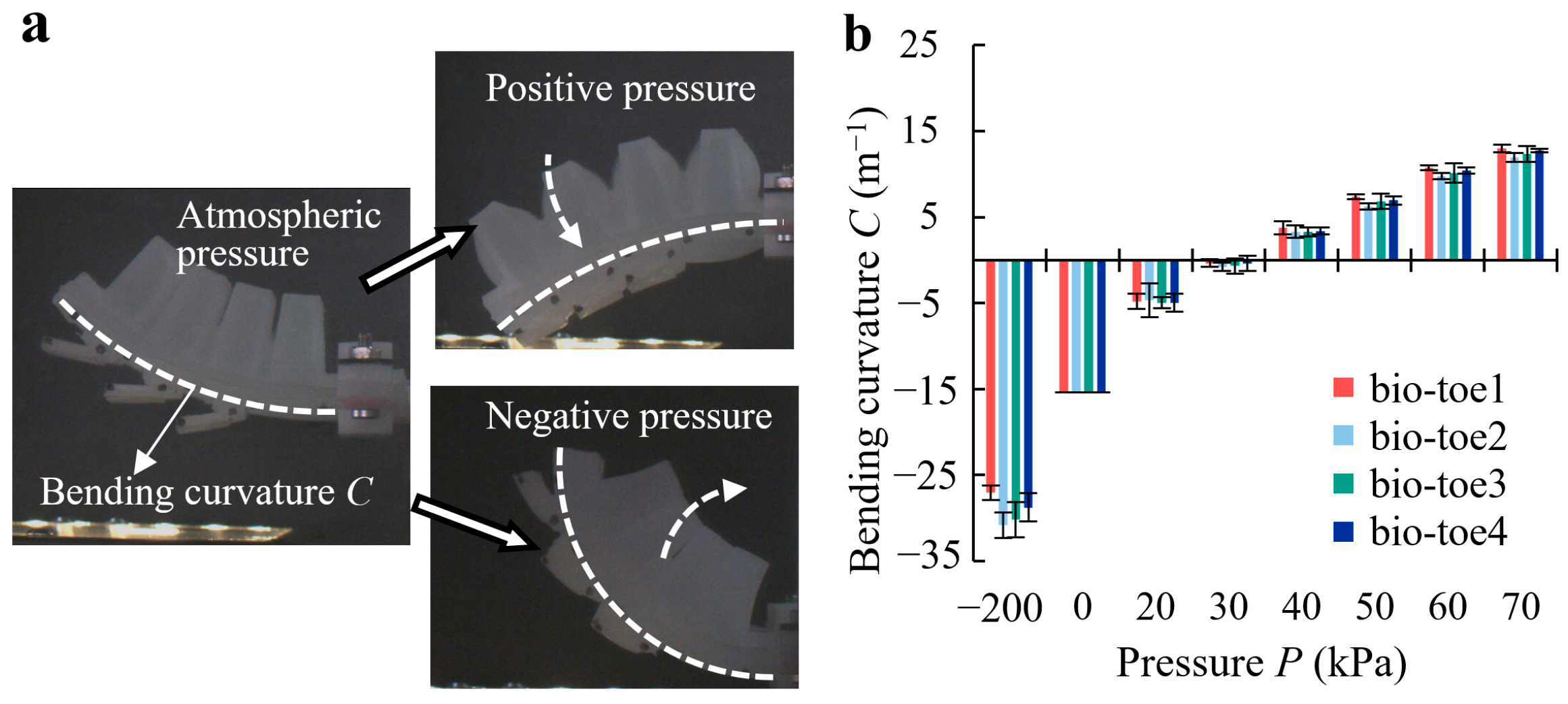 Biomimetics 08 00040 g006