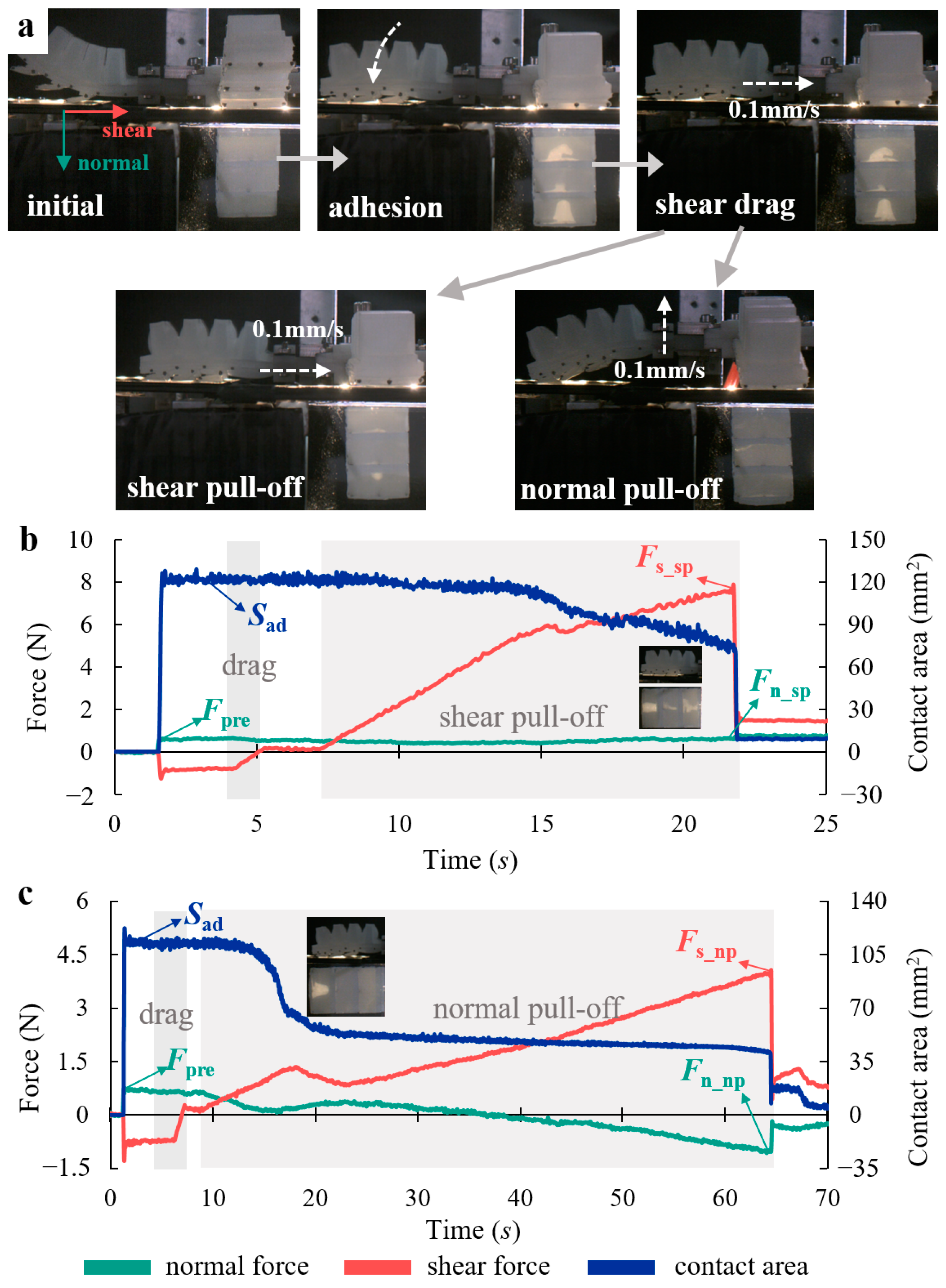 Biomimetics 08 00040 g007
