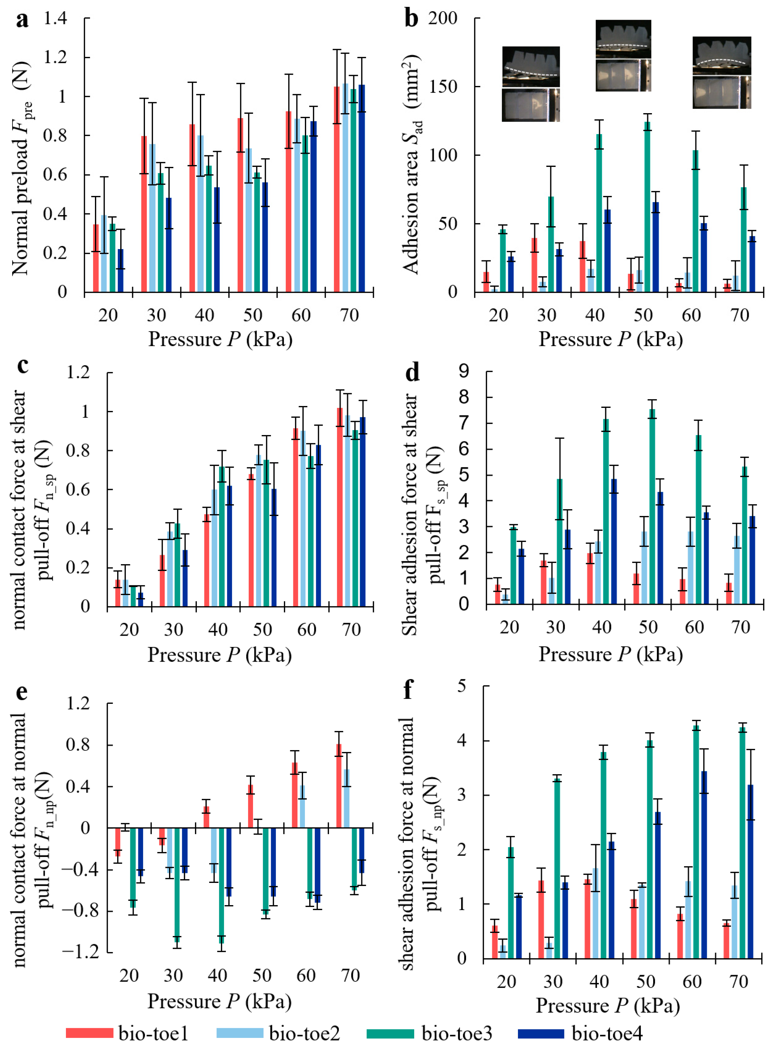 Biomimetics 08 00040 g008