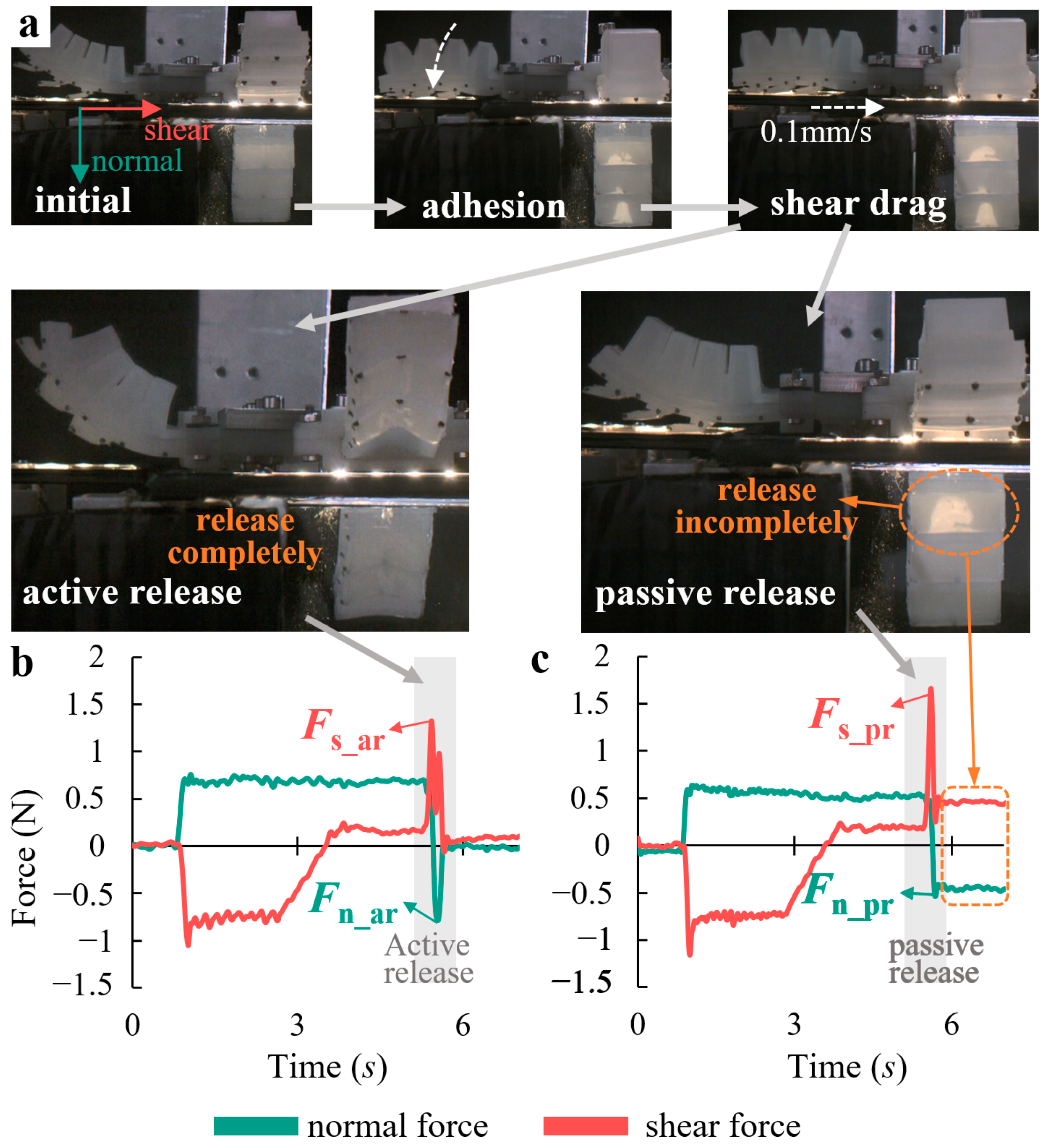 Biomimetics 08 00040 g009