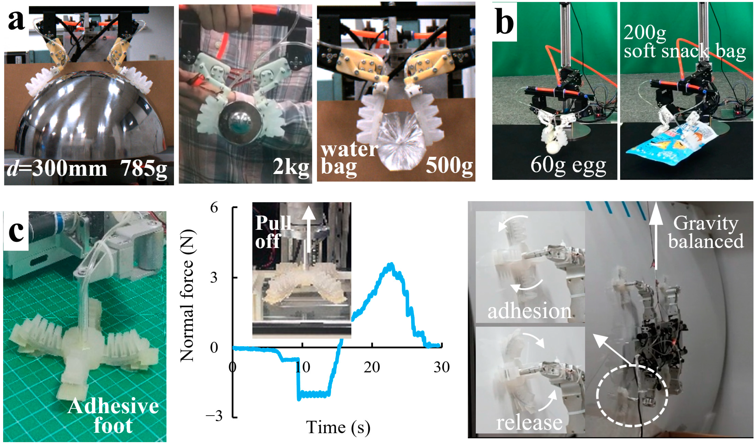 Biomimetics 08 00040 g011