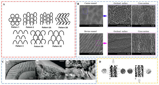 Biomimetics 08 00042 g002