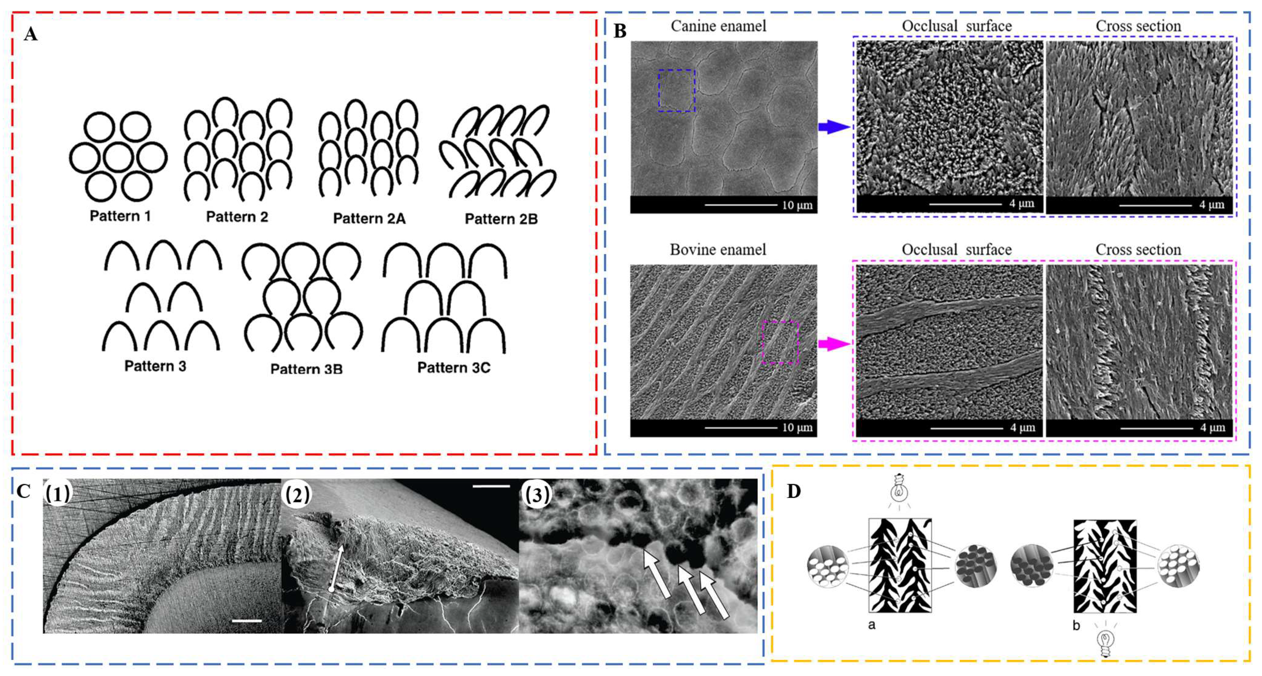 Biomimetics 08 00042 g002