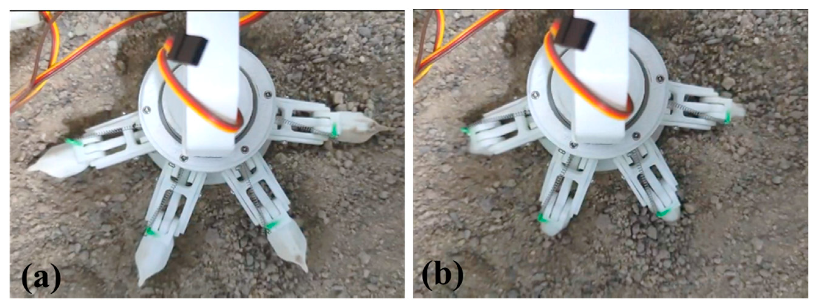 Biomimetics 08 00044 g013