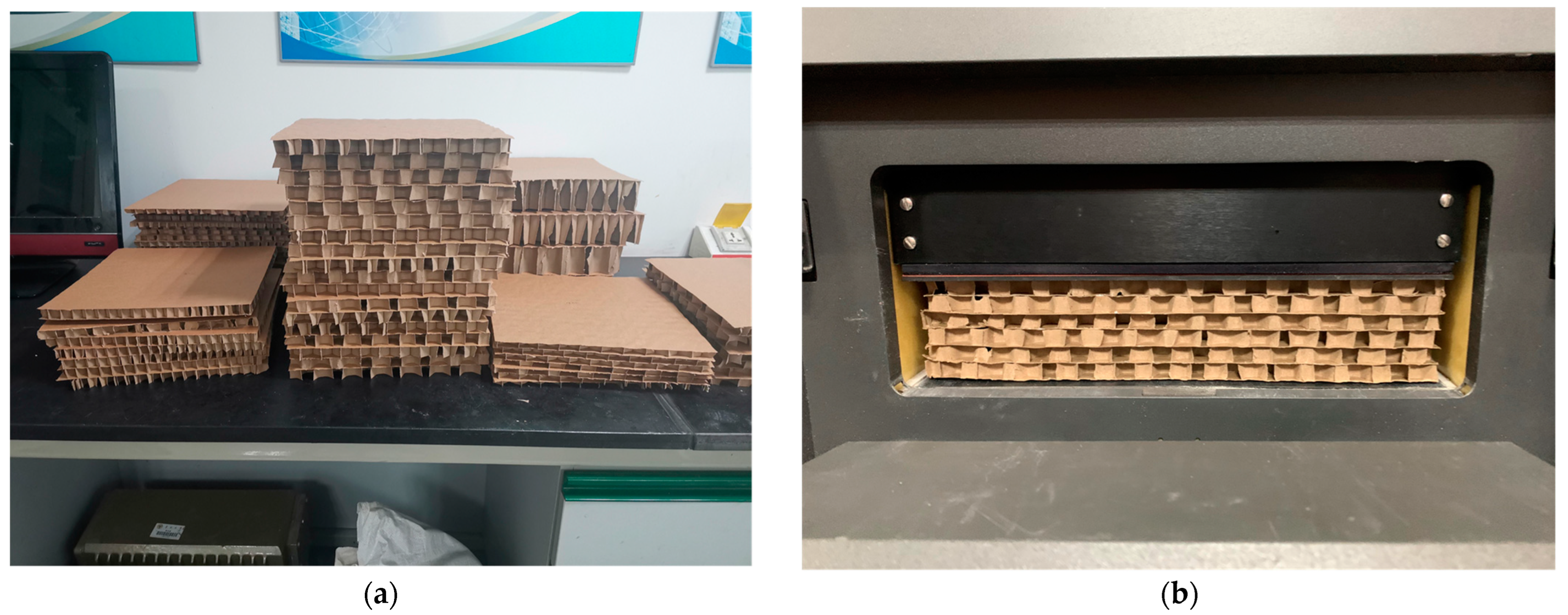 Biomimetics 08 00046 g004